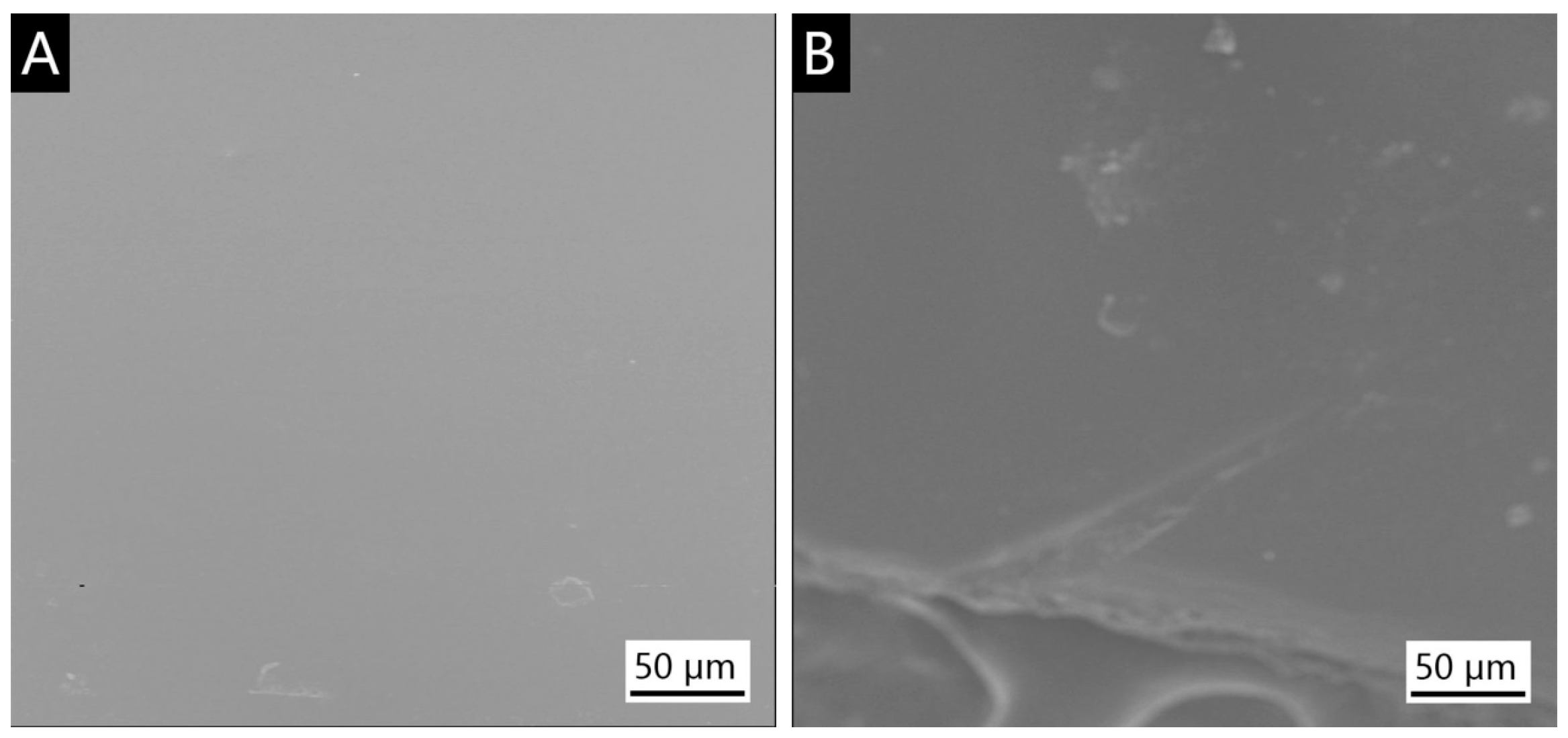 Coatings 08 00009 g003