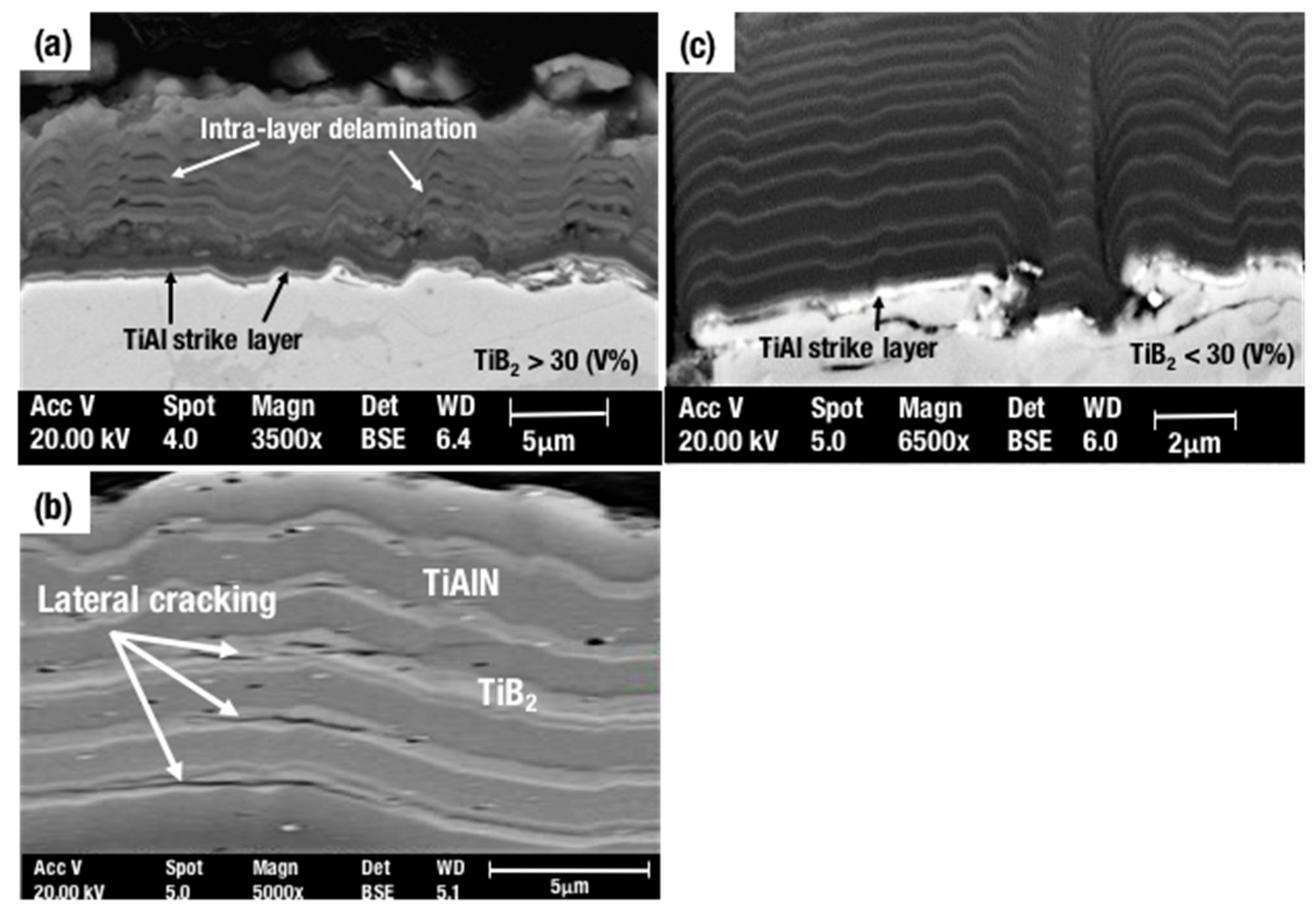 Coatings 08 00012 g005