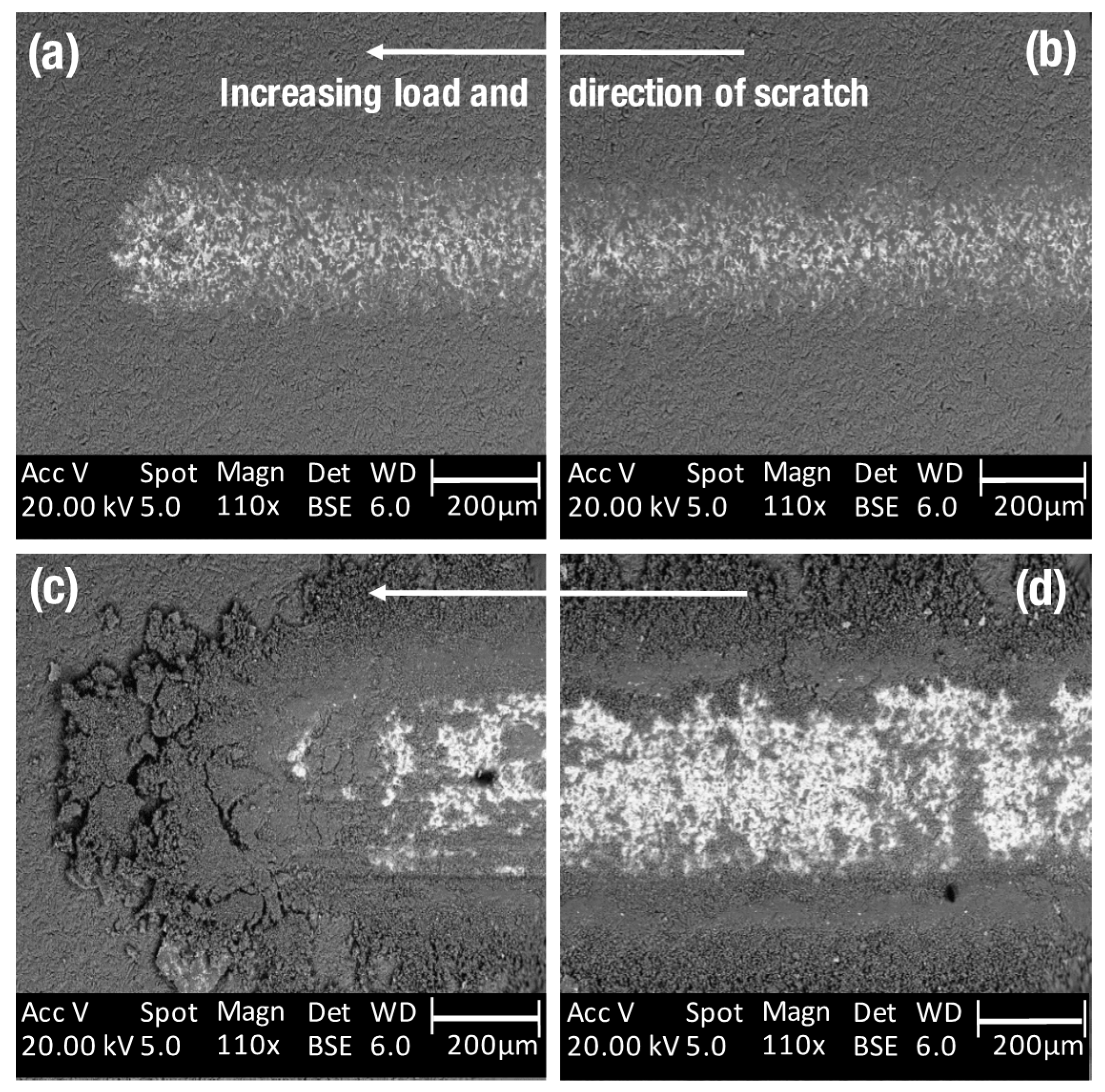 Coatings 08 00012 g006