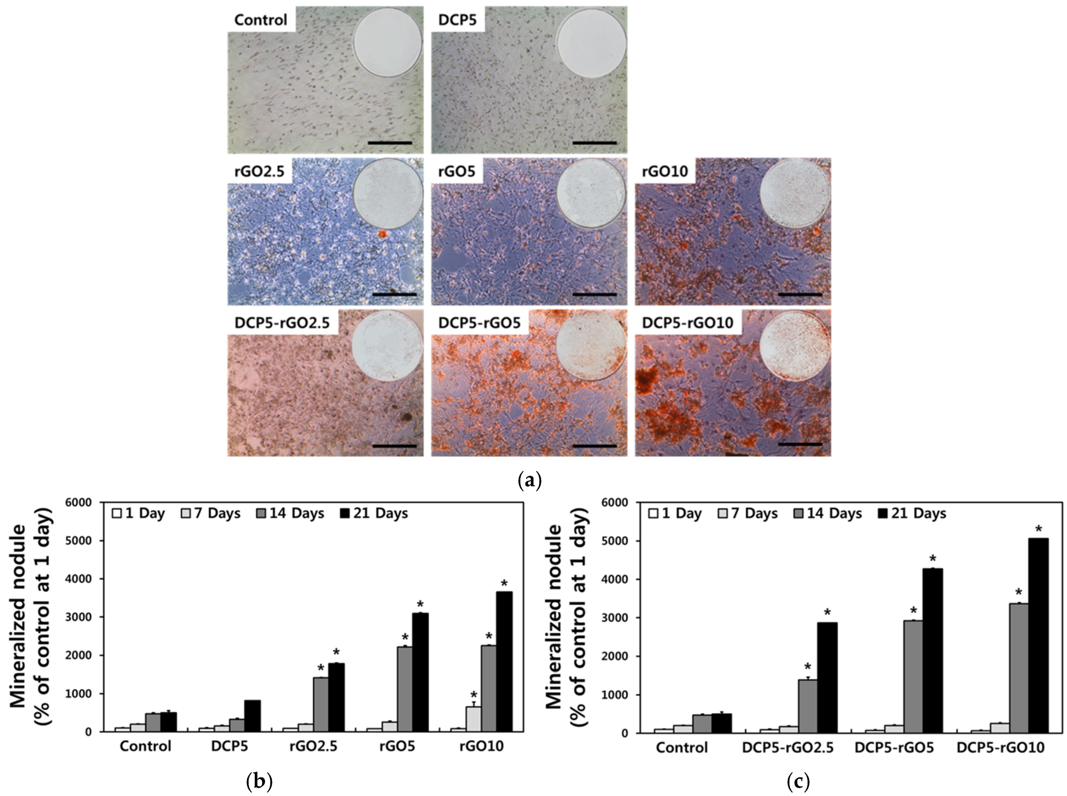 Coatings 08 00013 g006