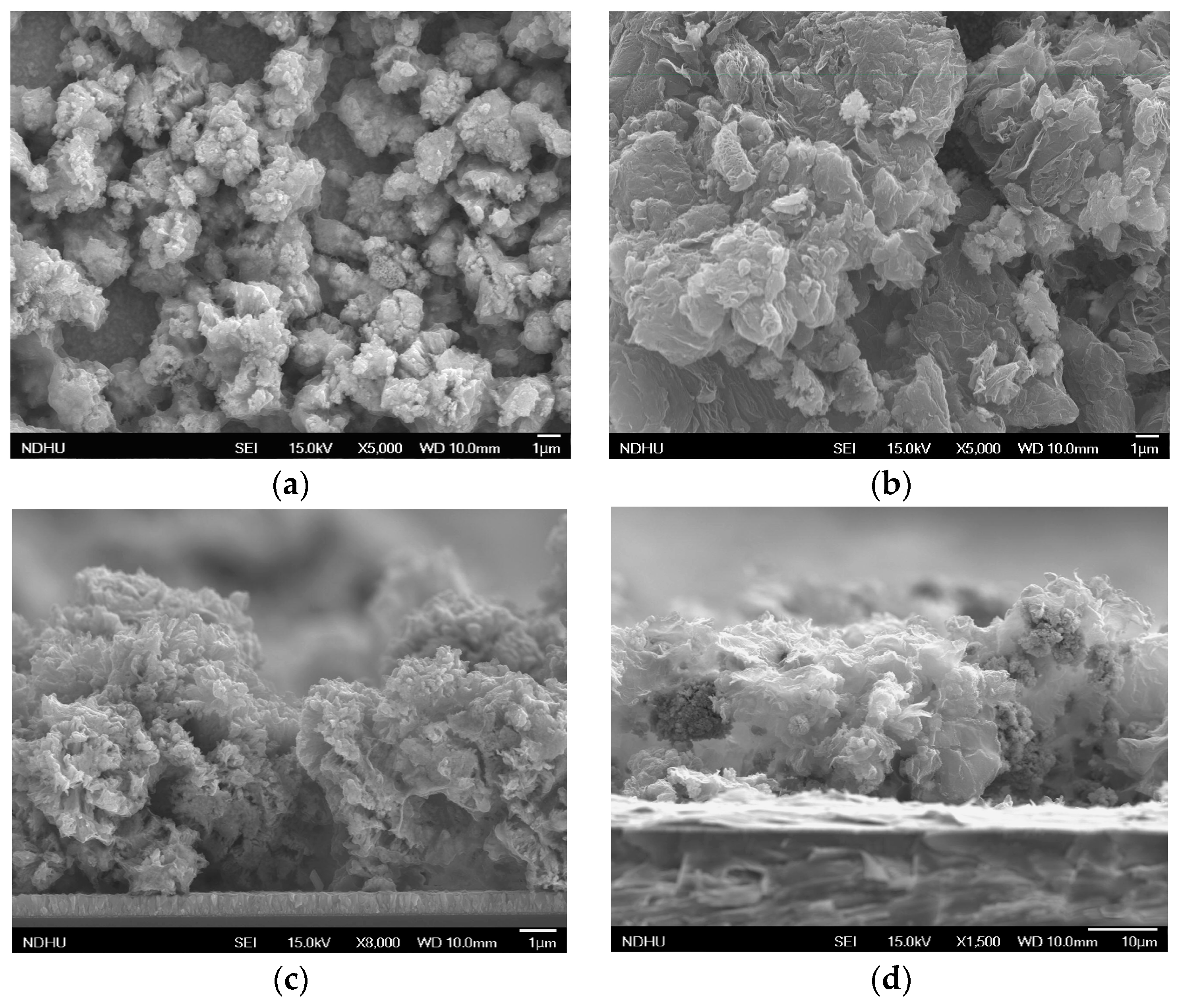 Coatings 08 00021 g003