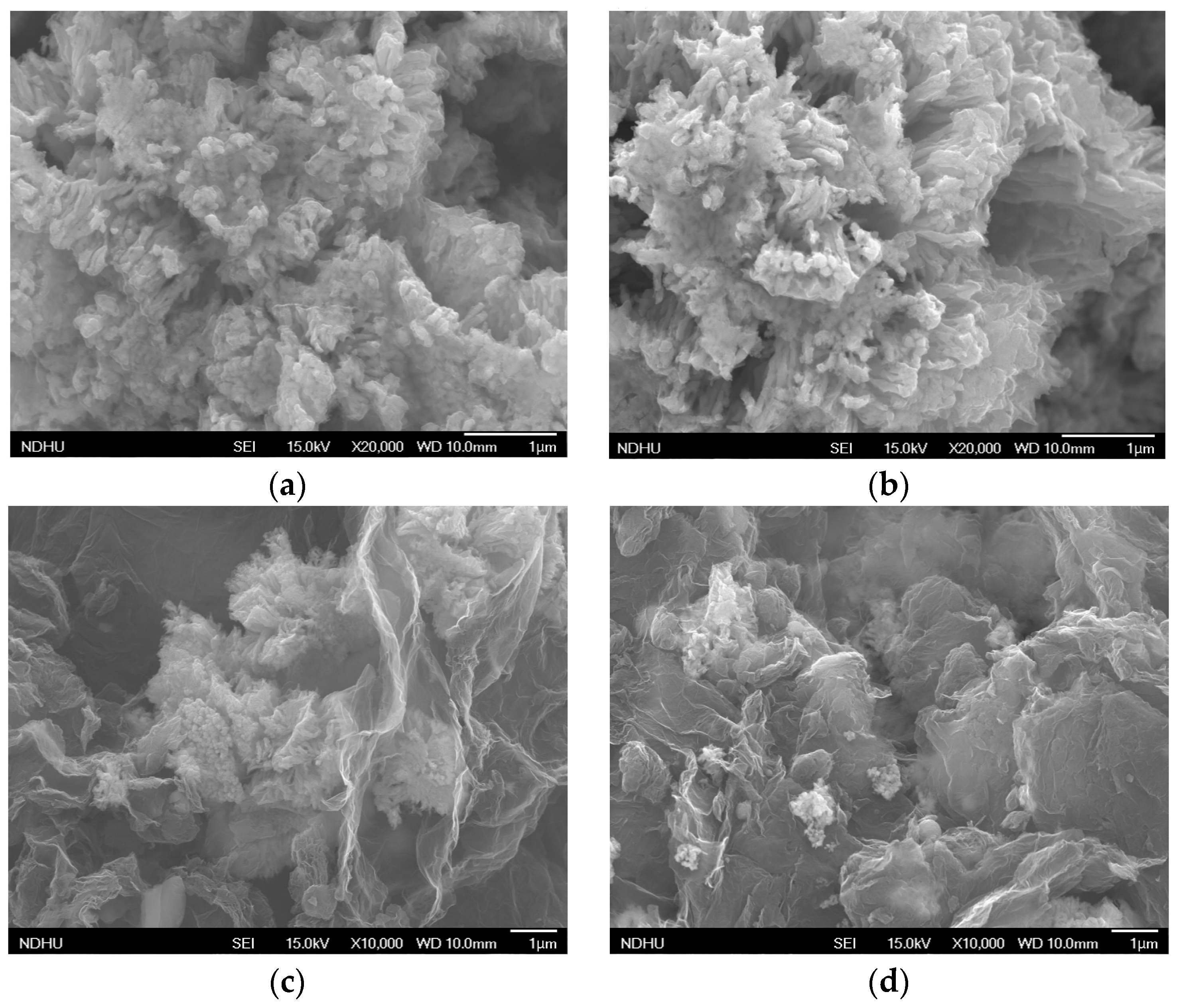 Coatings 08 00021 g004