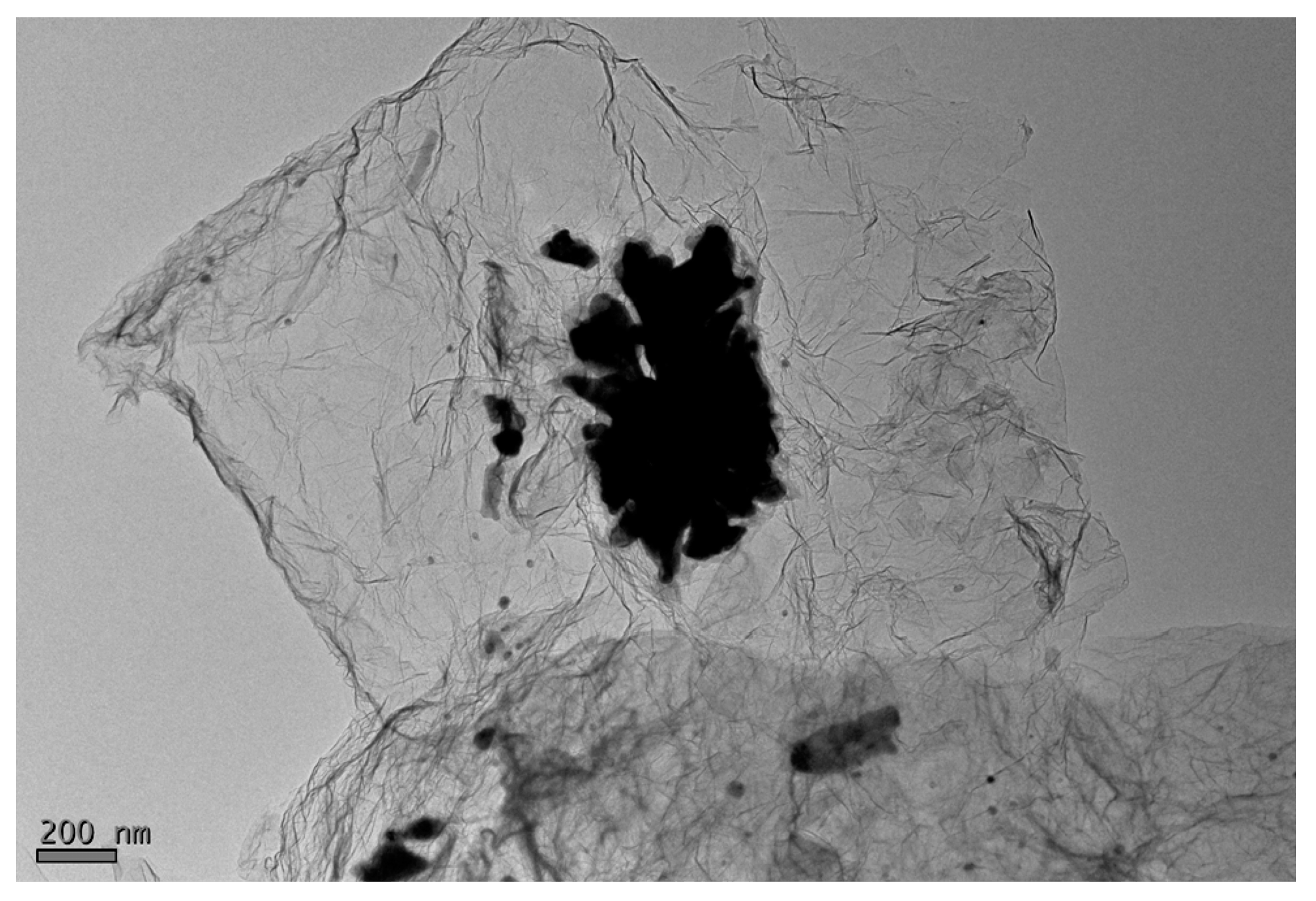 Coatings 08 00021 g005