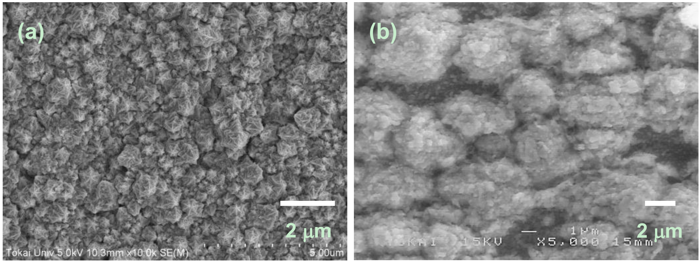 Coatings 08 00022 g001