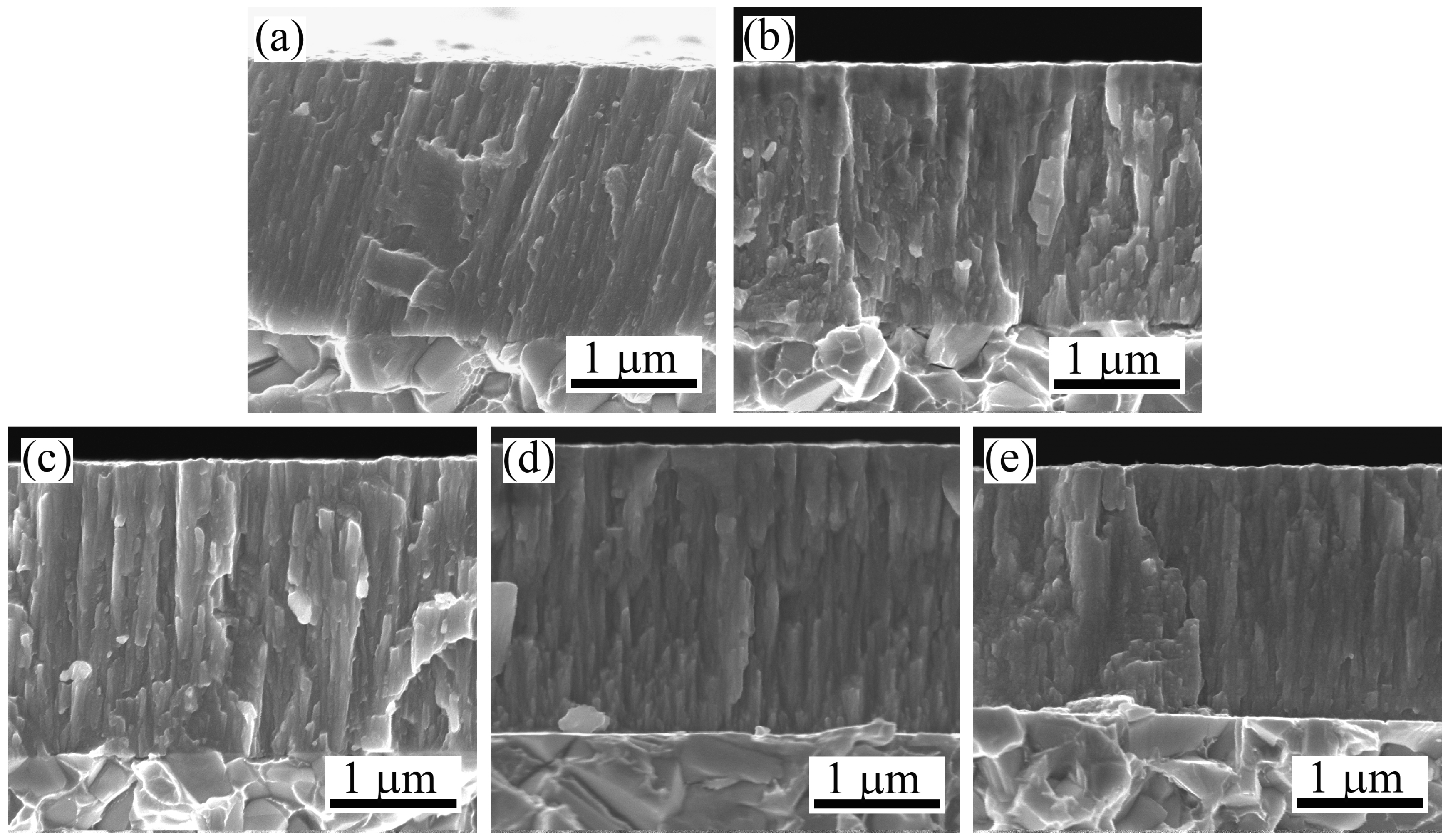 Coatings 08 00024 g004