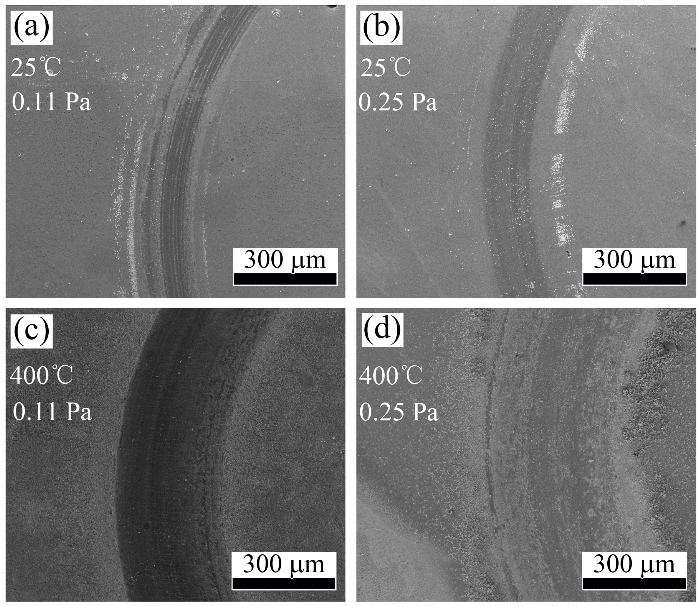Coatings 08 00024 g009