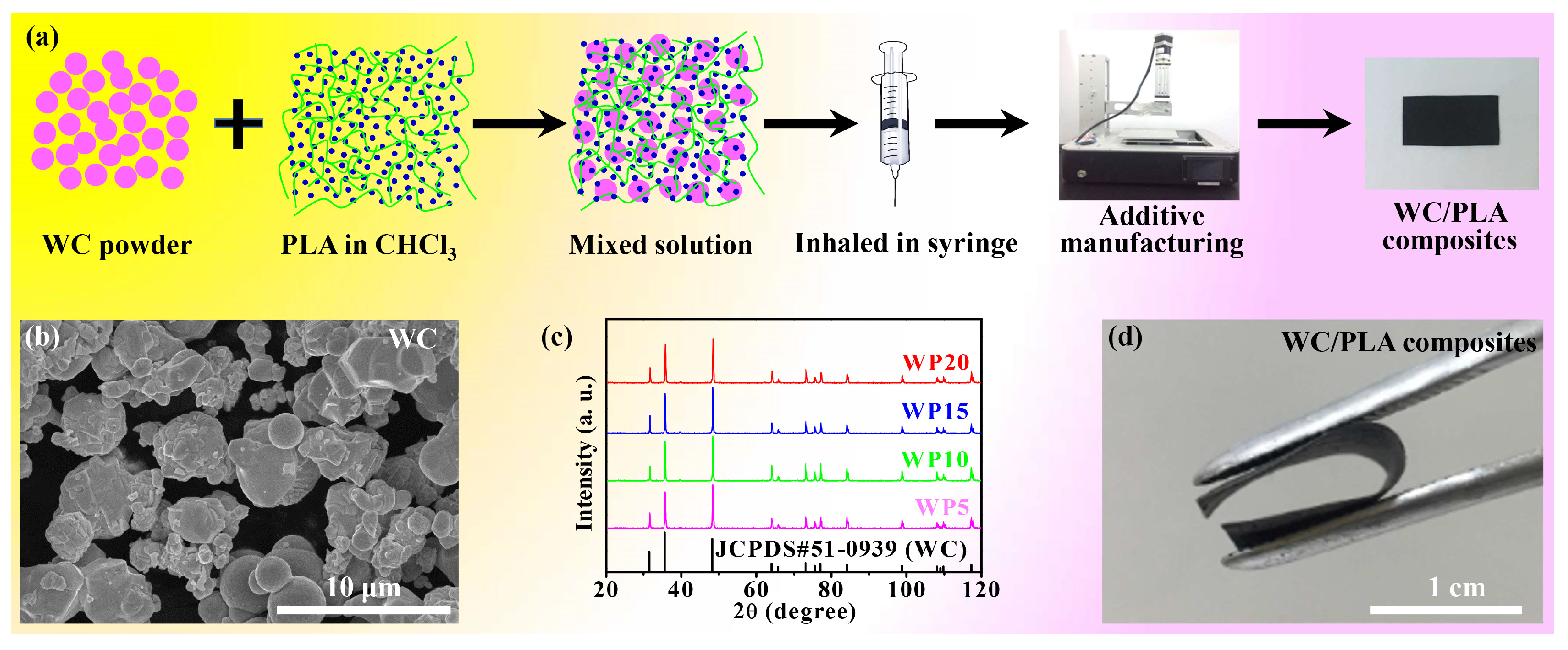 Coatings 08 00025 g001
