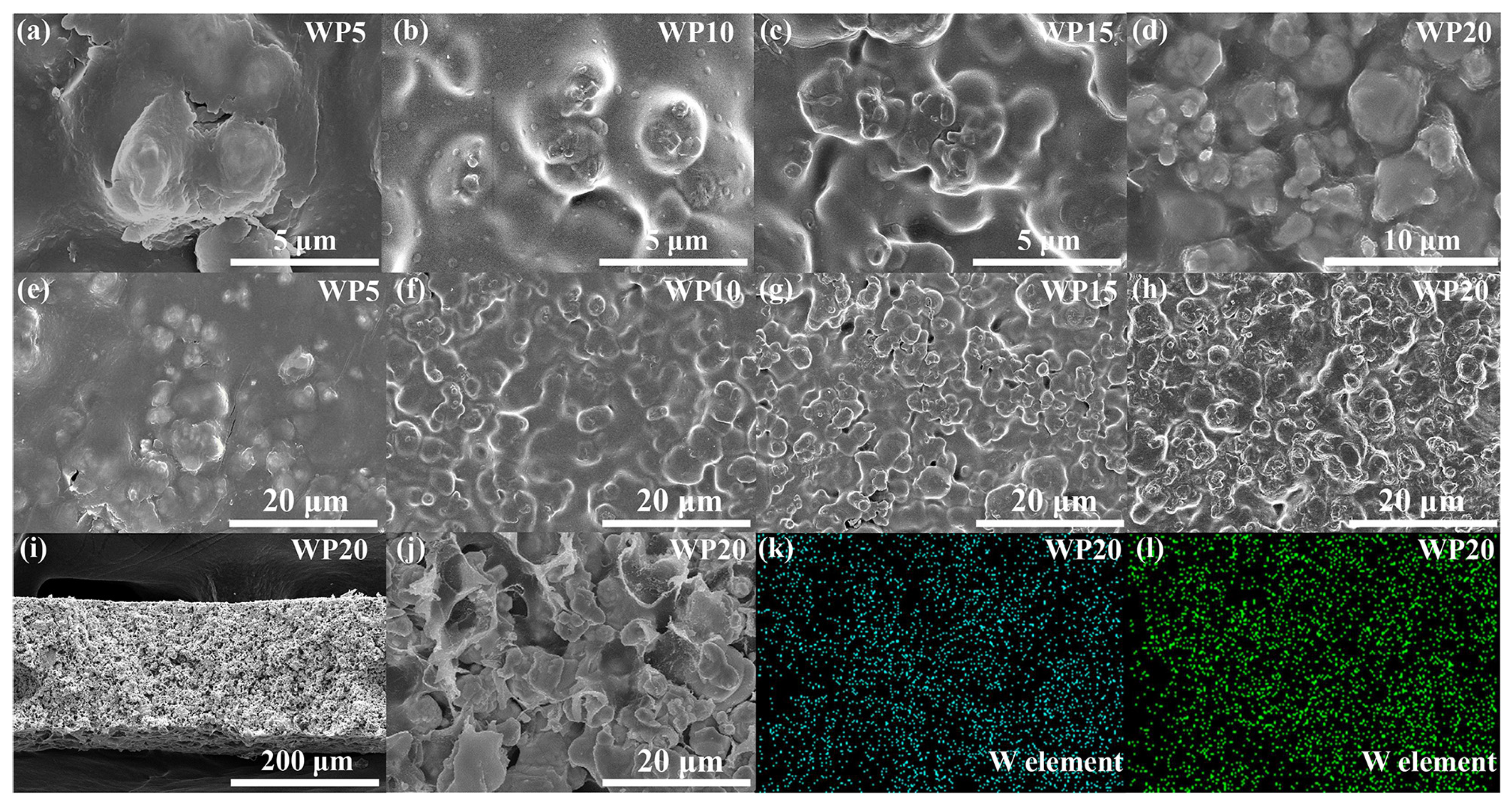 Coatings 08 00025 g002