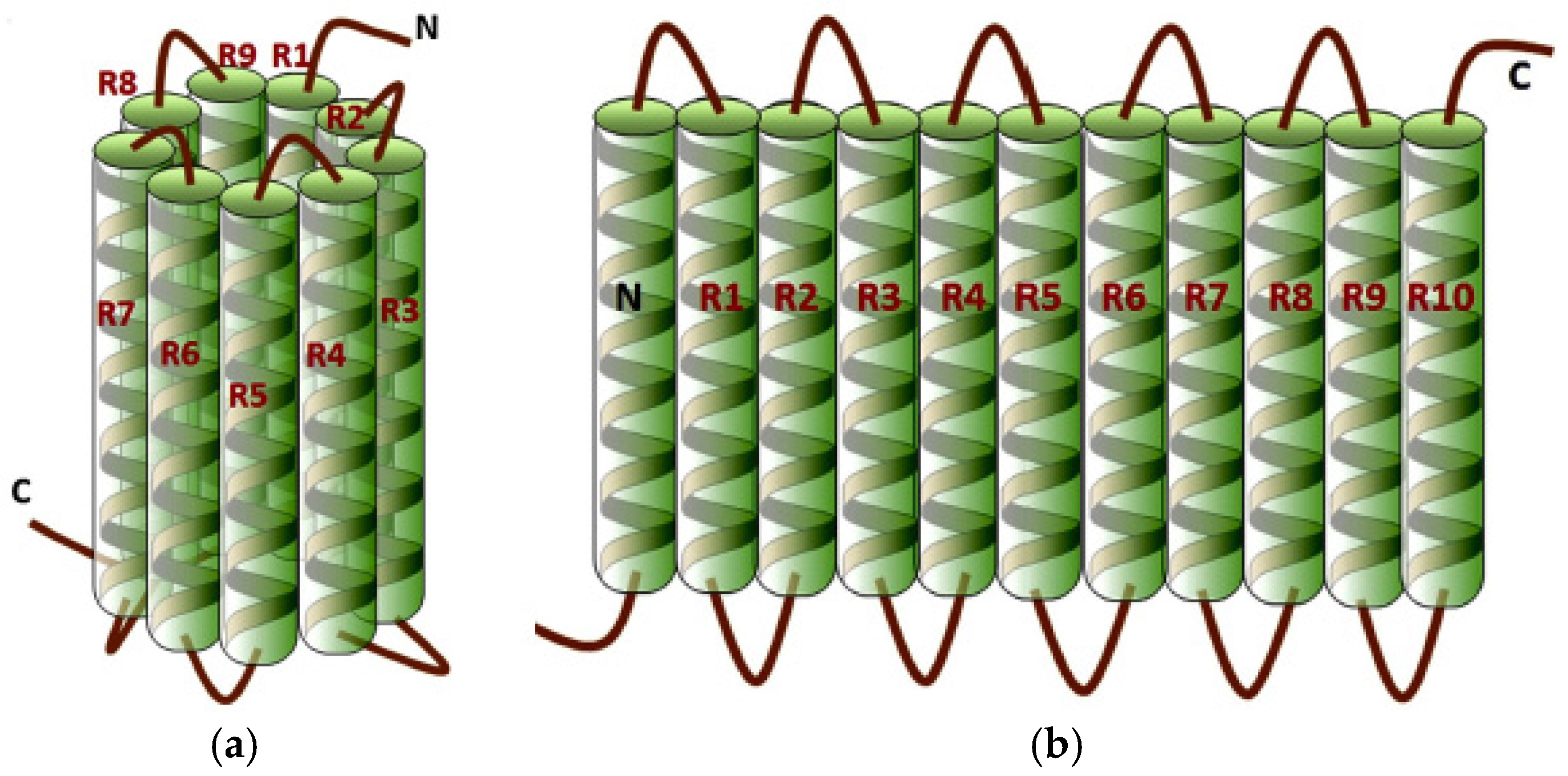 Coatings 08 00027 g001