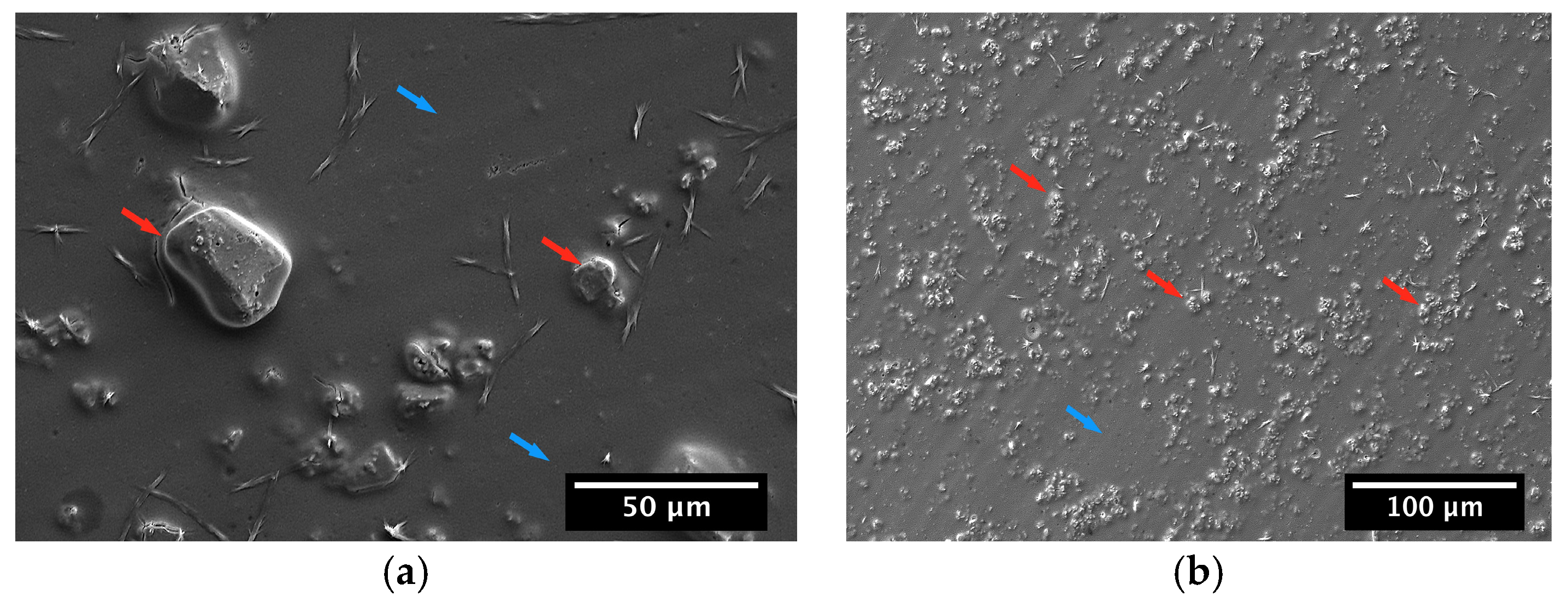 Coatings 08 00027 g005