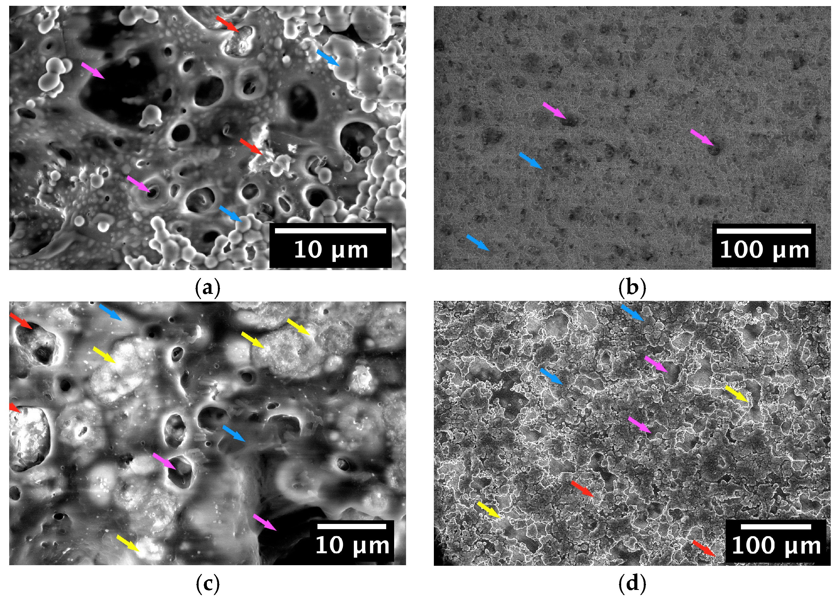 Coatings 08 00027 g006
