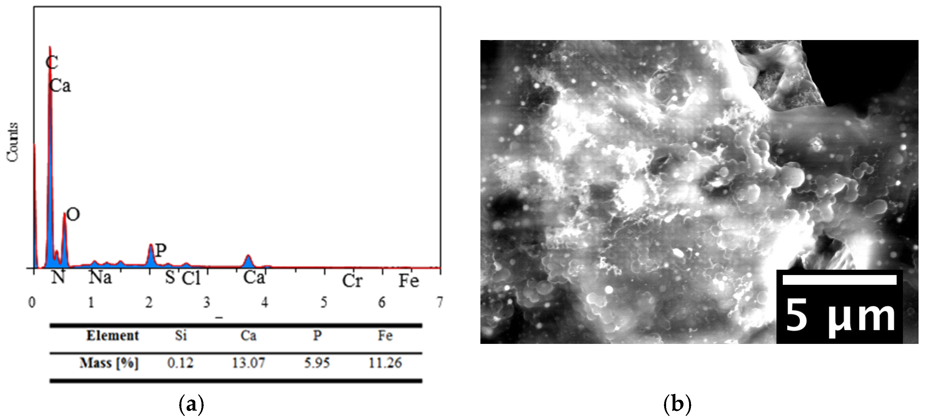 Coatings 08 00027 g009
