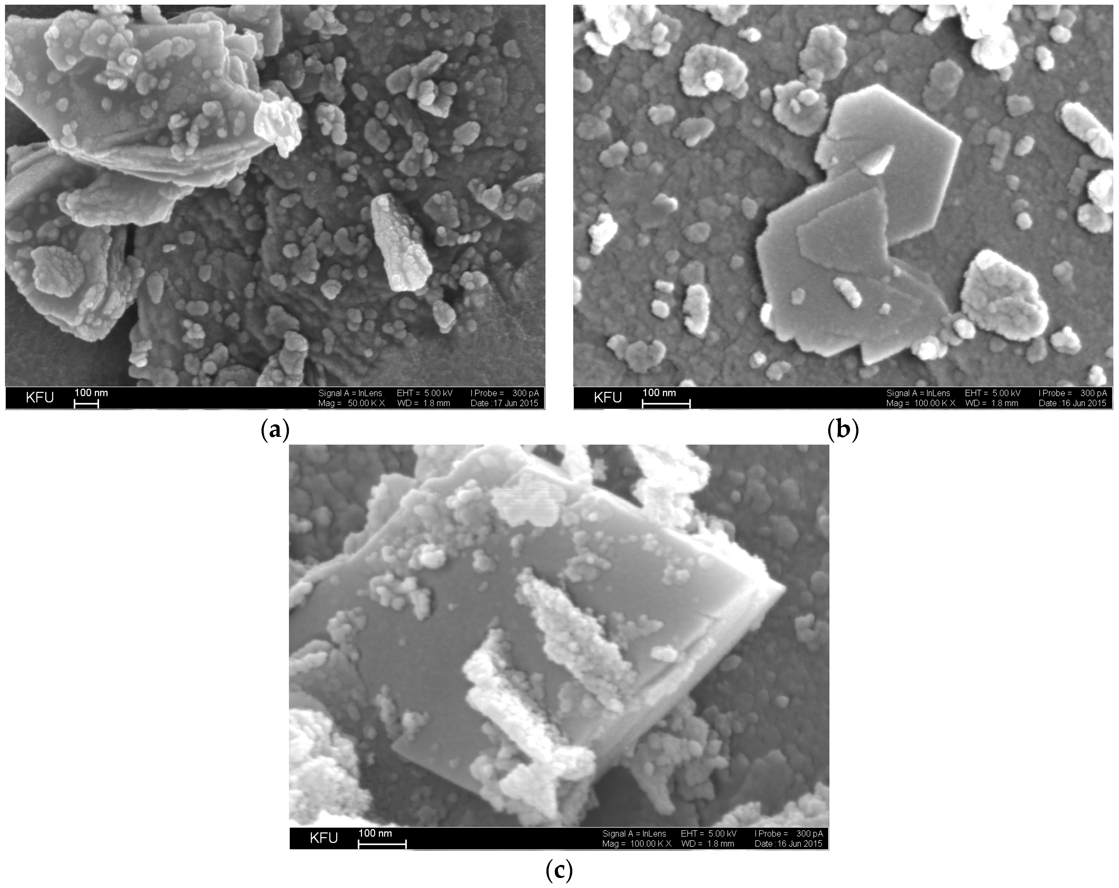 Coatings 08 00030 g002