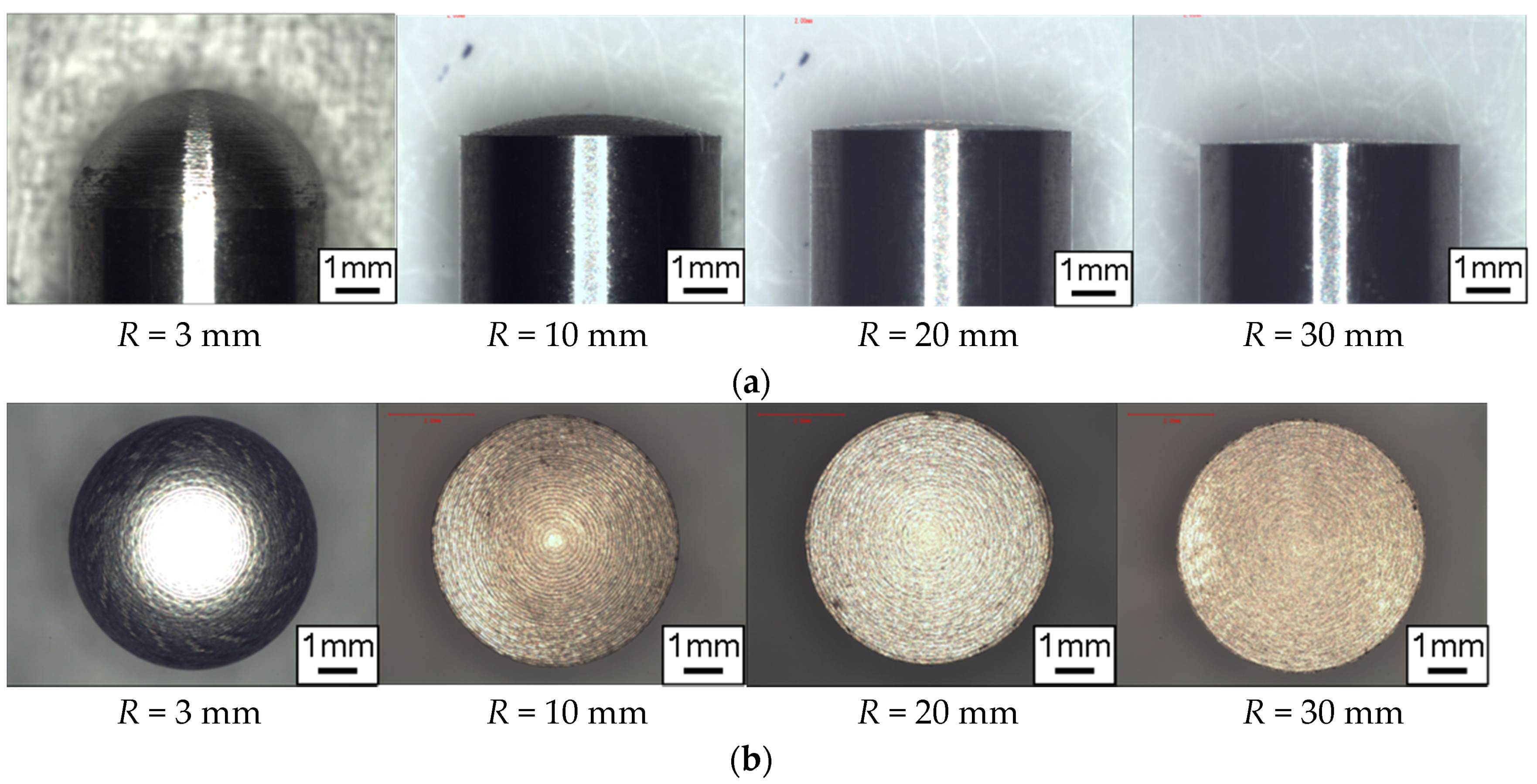 Coatings 08 00032 g004