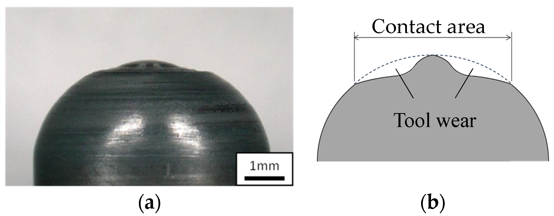 Coatings 08 00032 g005
