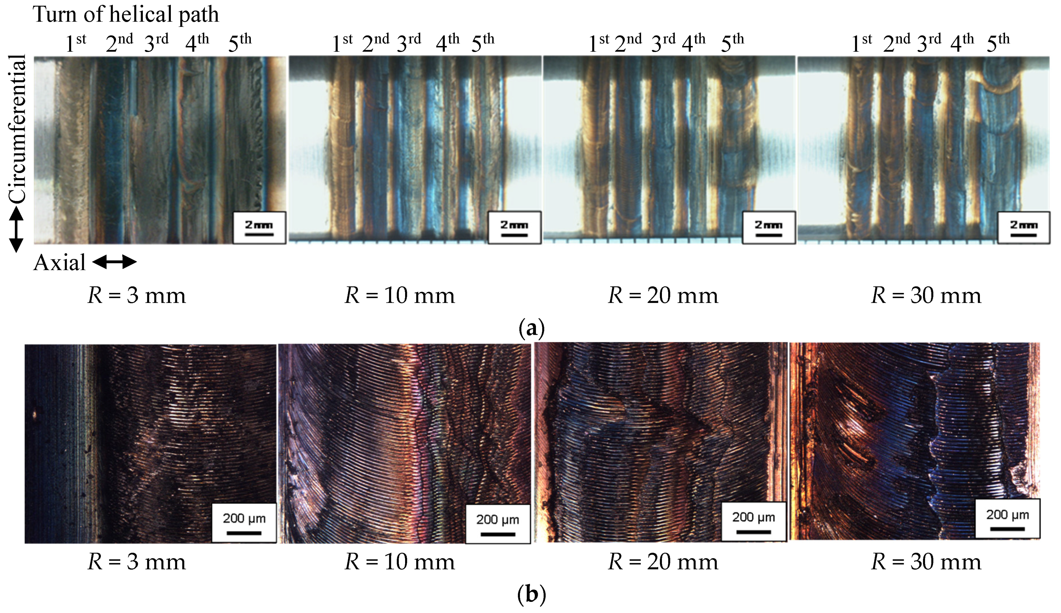 Coatings 08 00032 g010