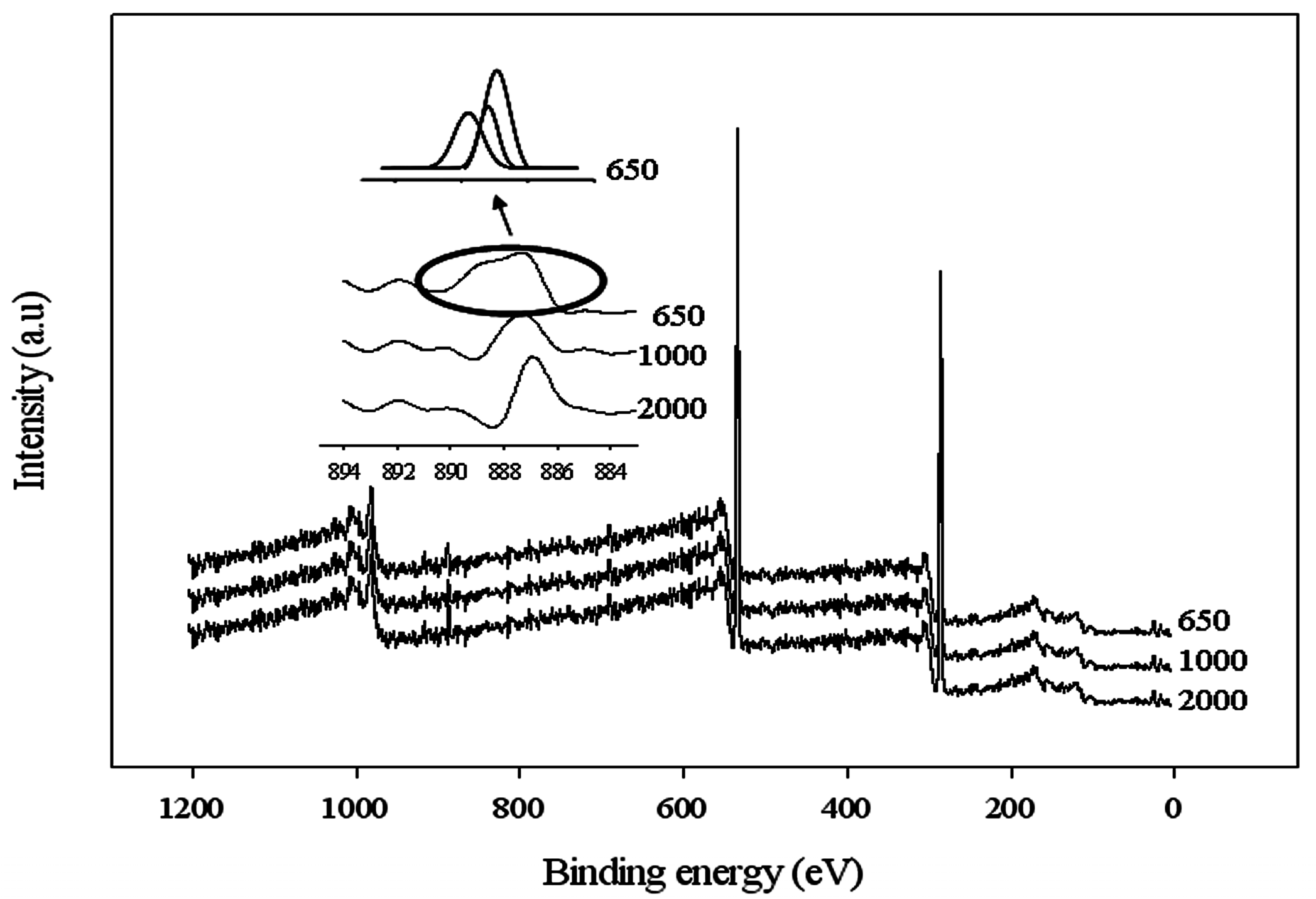 Coatings 08 00034 g004