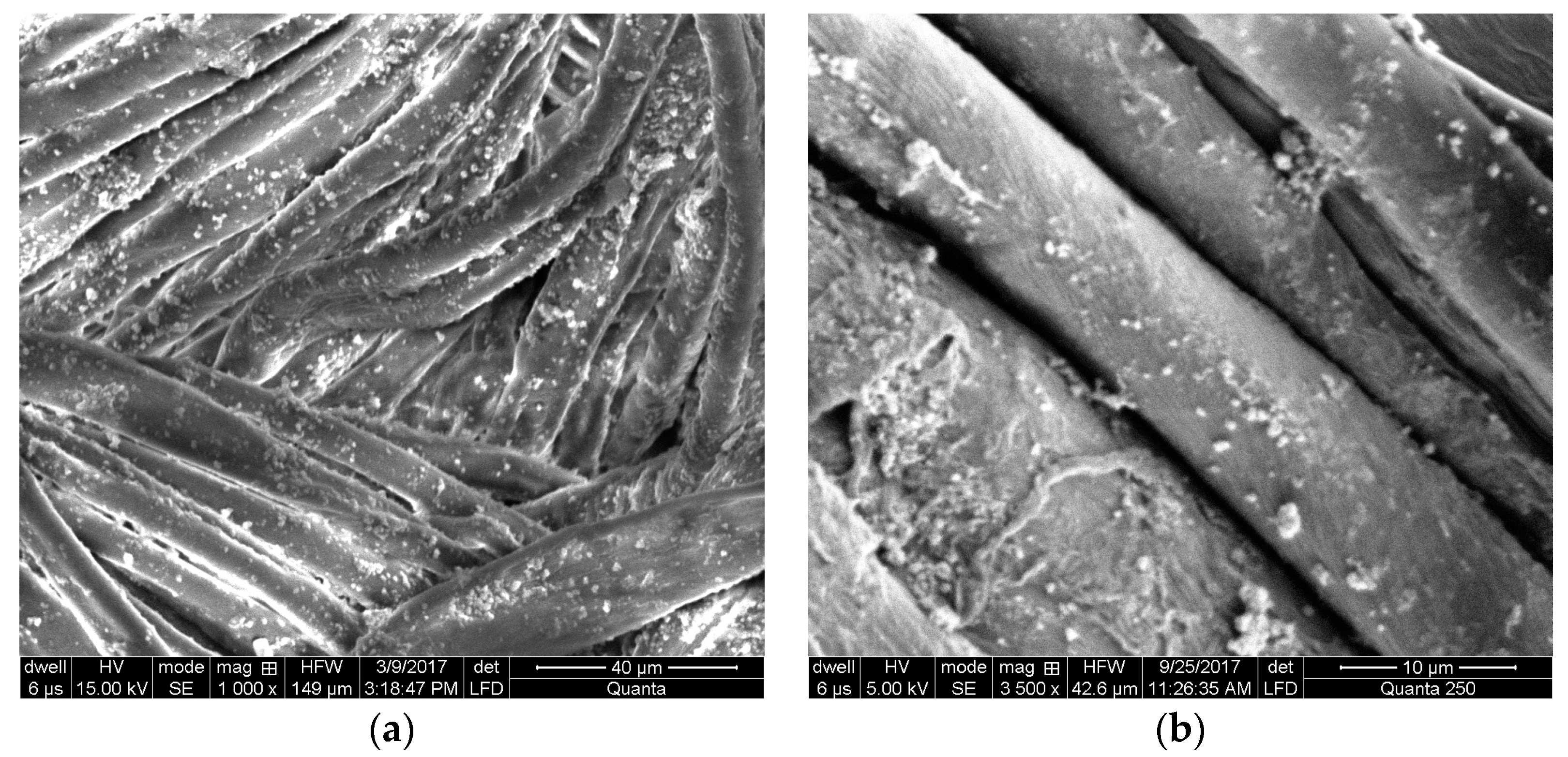 Coatings 08 00035 g004
