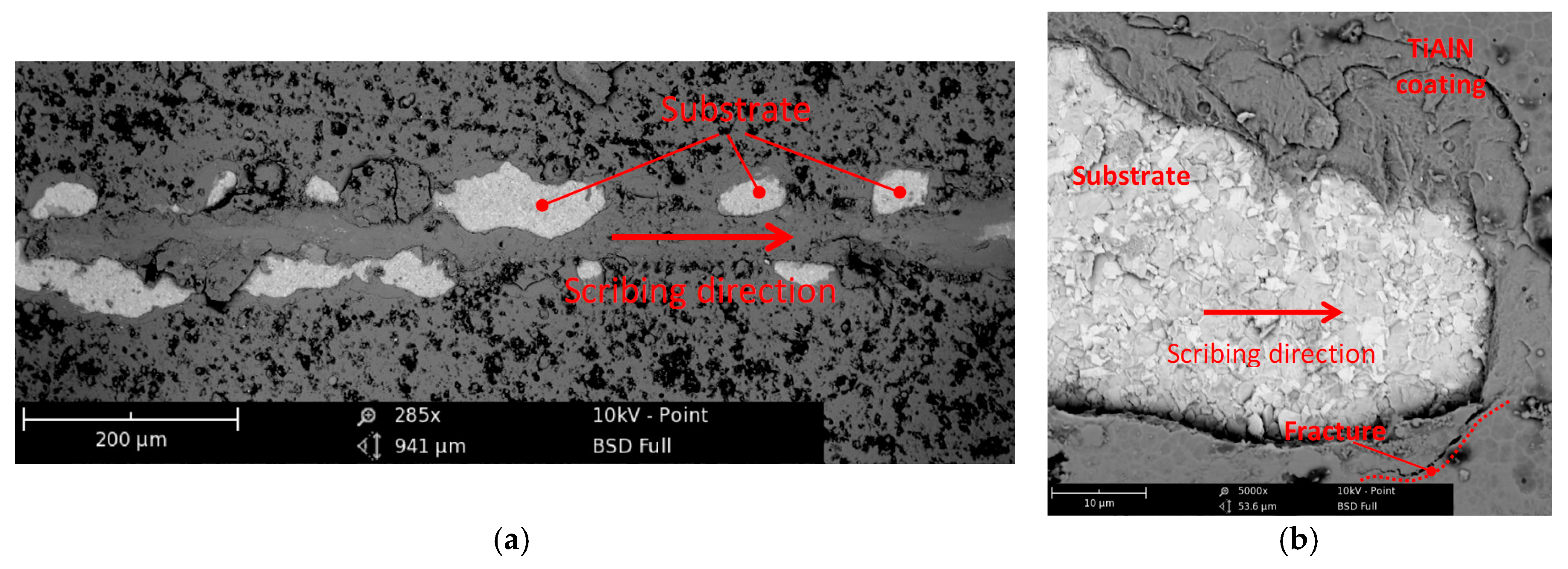 Coatings 08 00044 g001