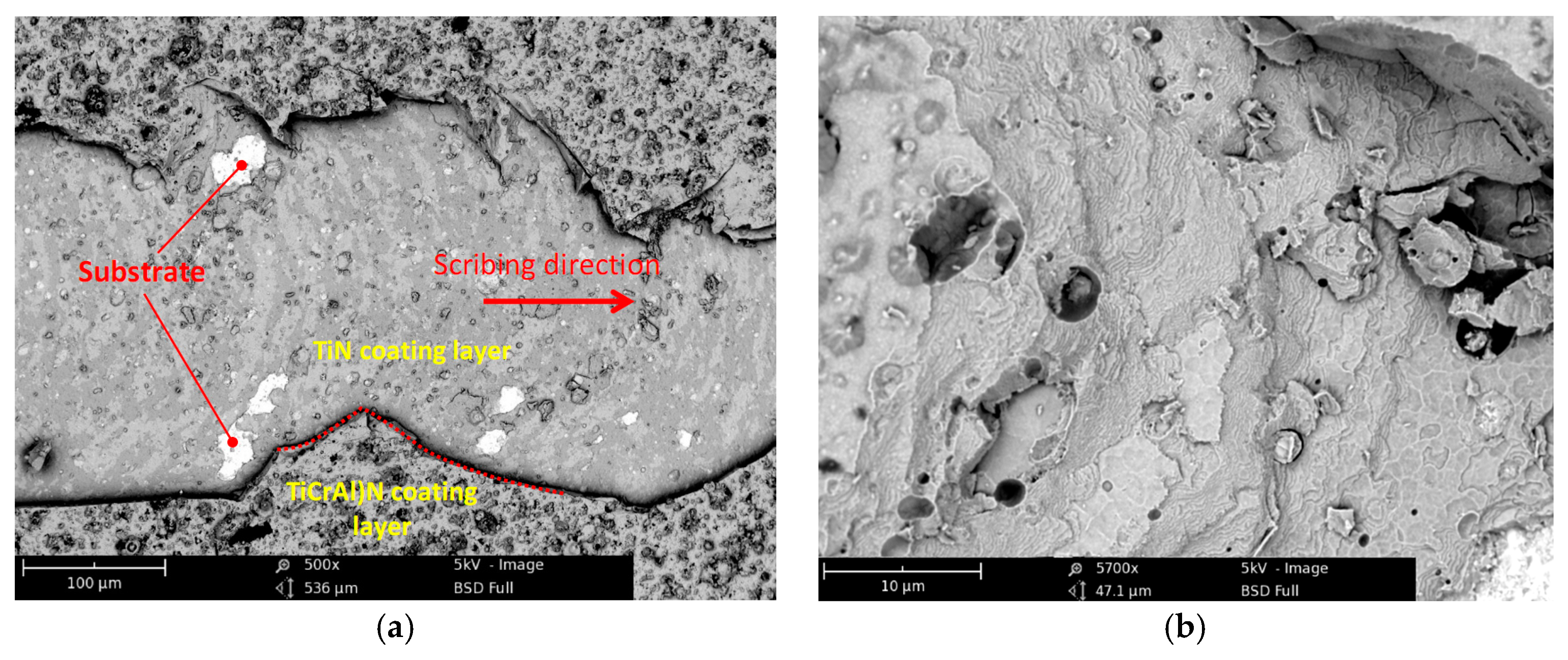 Coatings 08 00044 g004