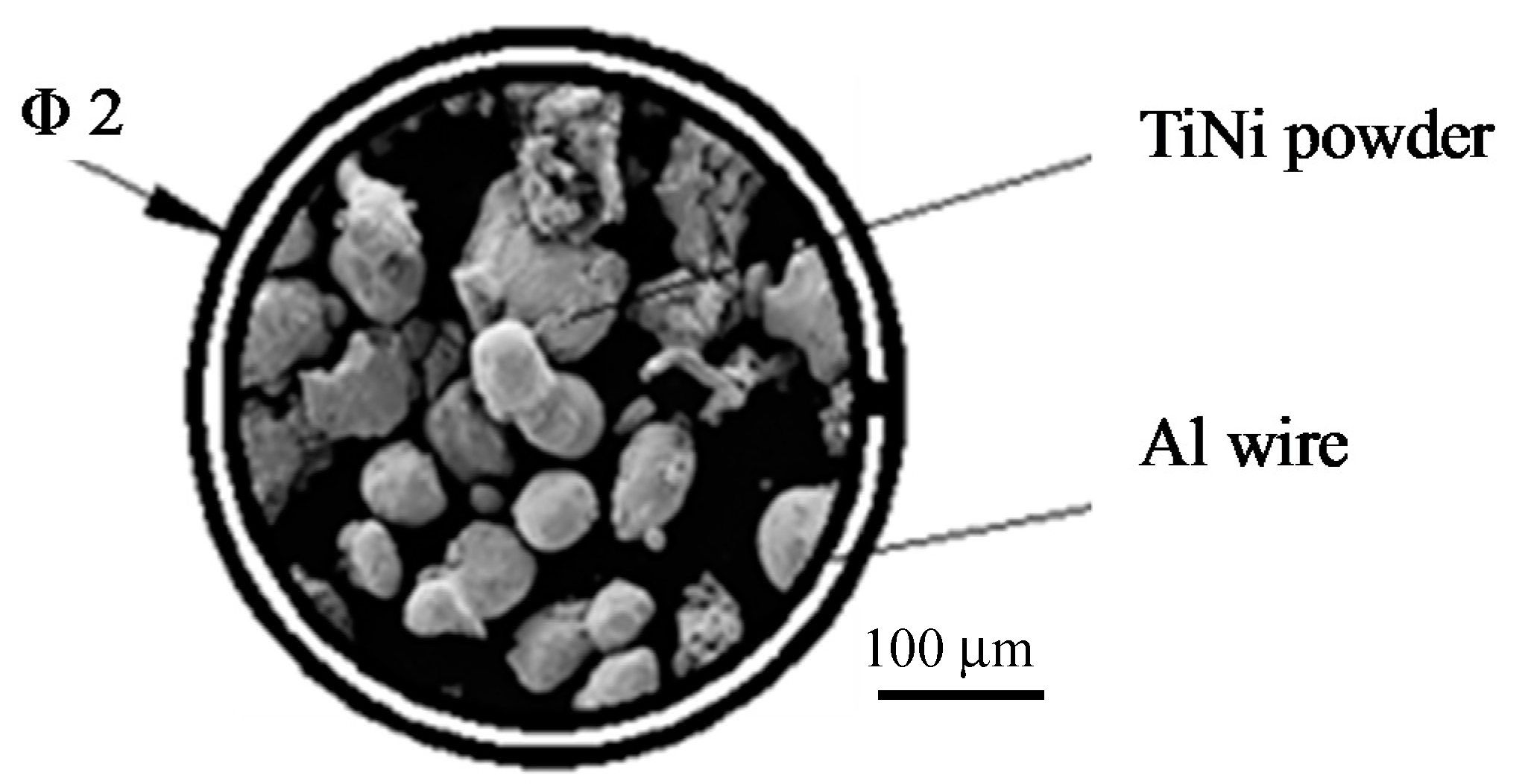 Coatings 08 00046 g001
