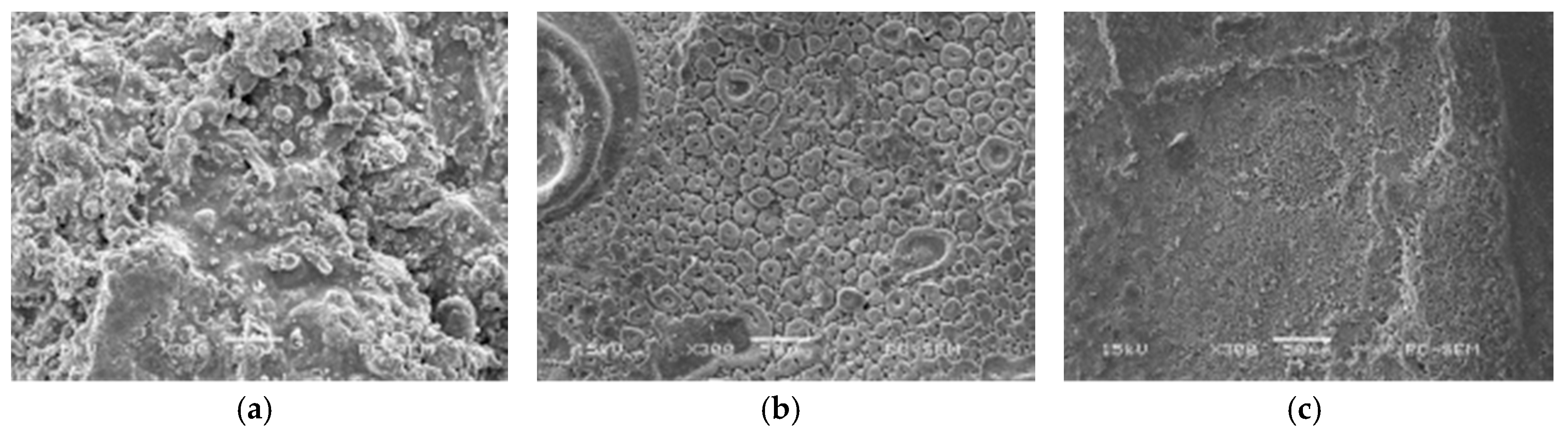 Coatings 08 00046 g016