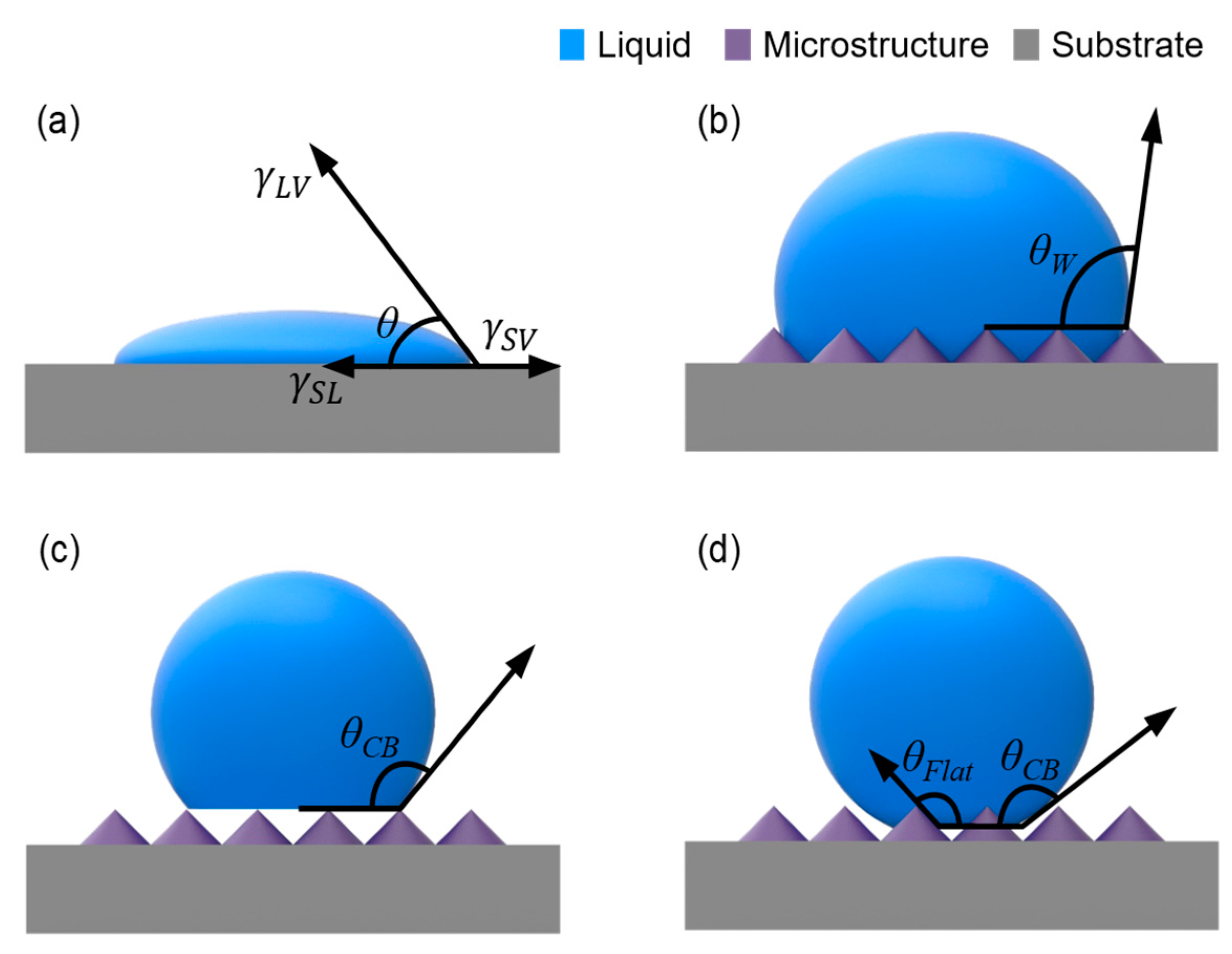Coatings 08 00047 g001 Coatings 08 00047 g001