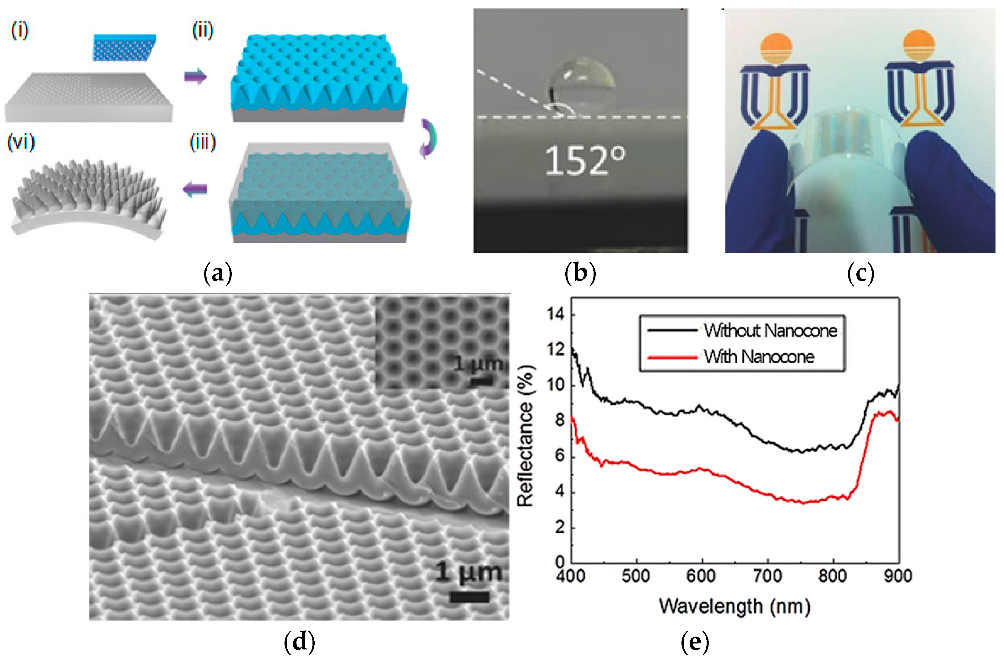 Coatings 08 00047 g003 Coatings 08 00047 g003