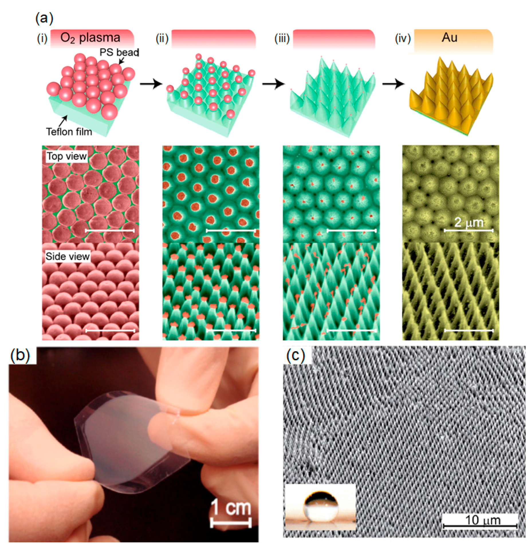 Coatings 08 00047 g005a Coatings 08 00047 g005a