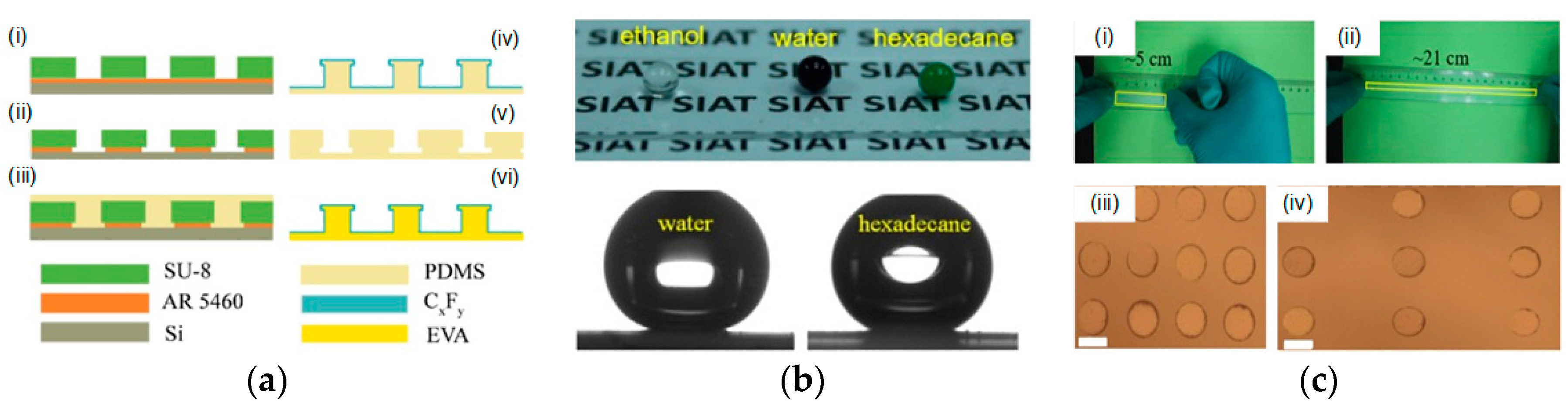 Coatings 08 00047 g006 Coatings 08 00047 g006