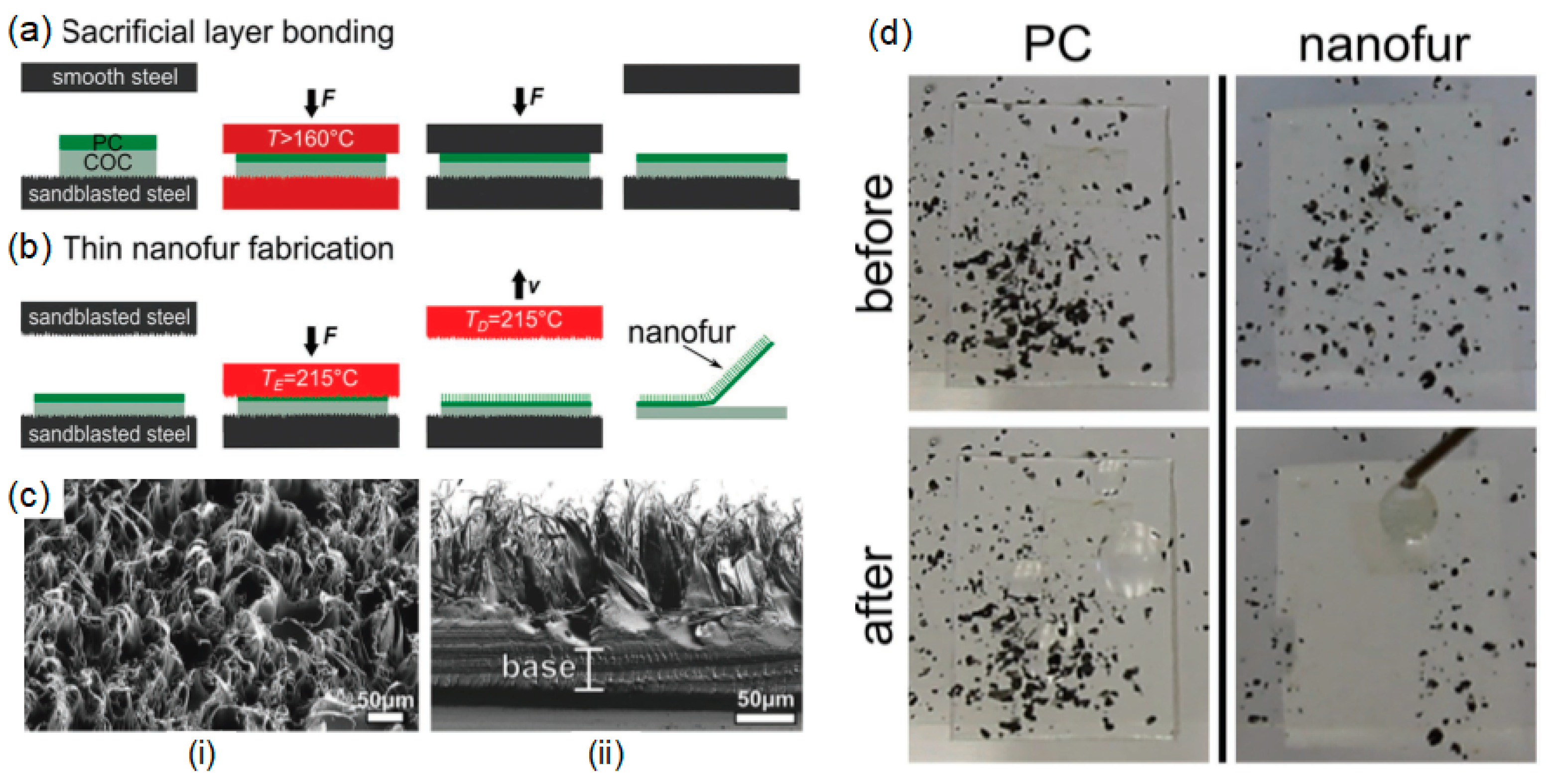 Coatings 08 00047 g011 Coatings 08 00047 g011