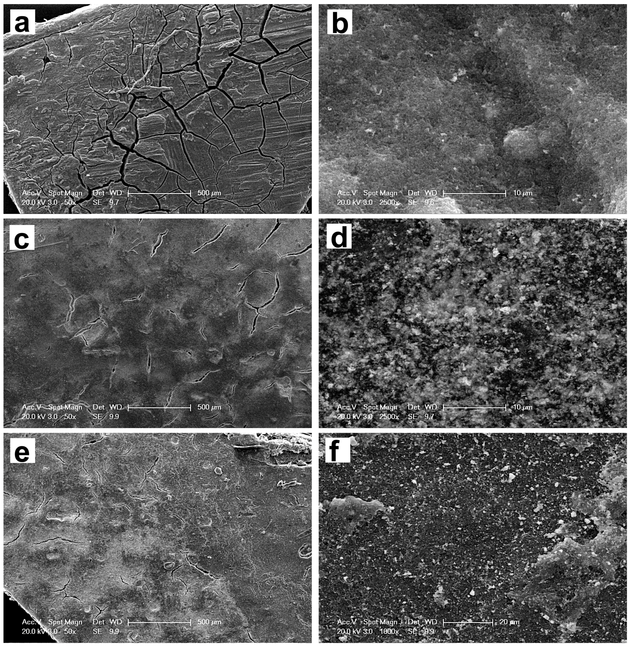 Coatings 08 00048 g001