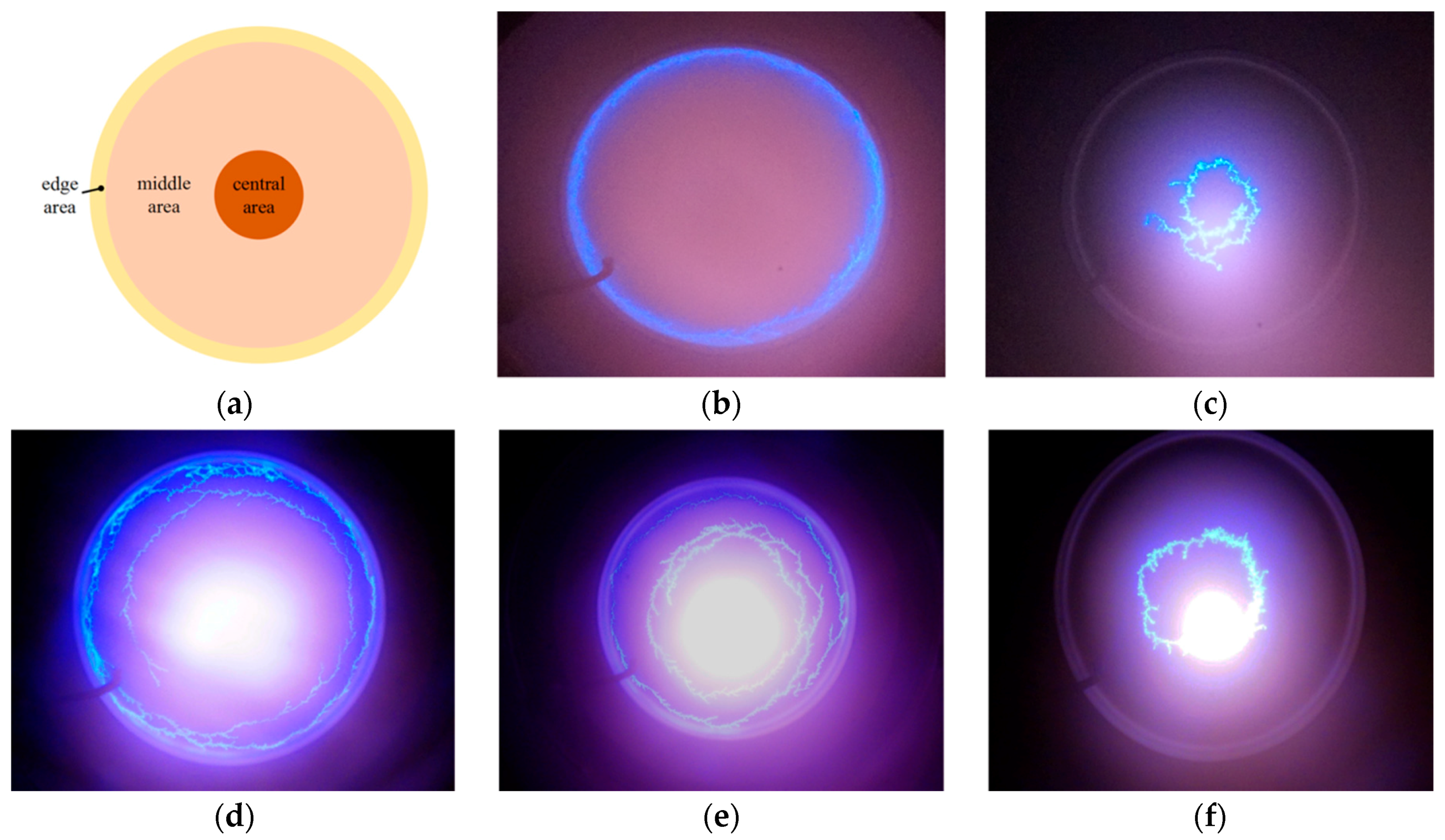 Coatings 08 00049 g006