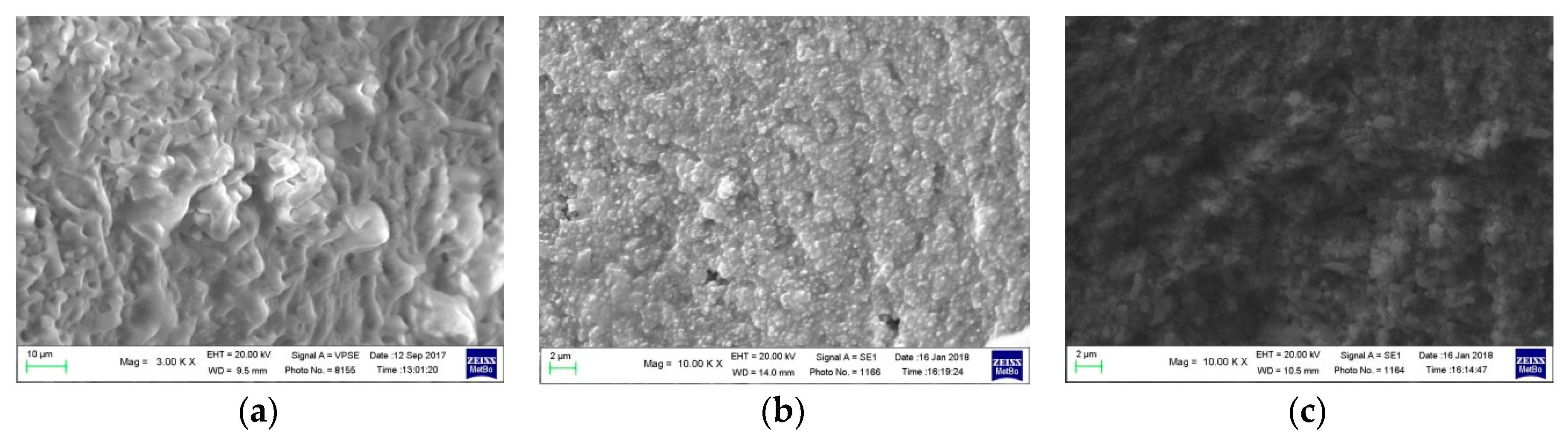 Coatings 08 00053 g001