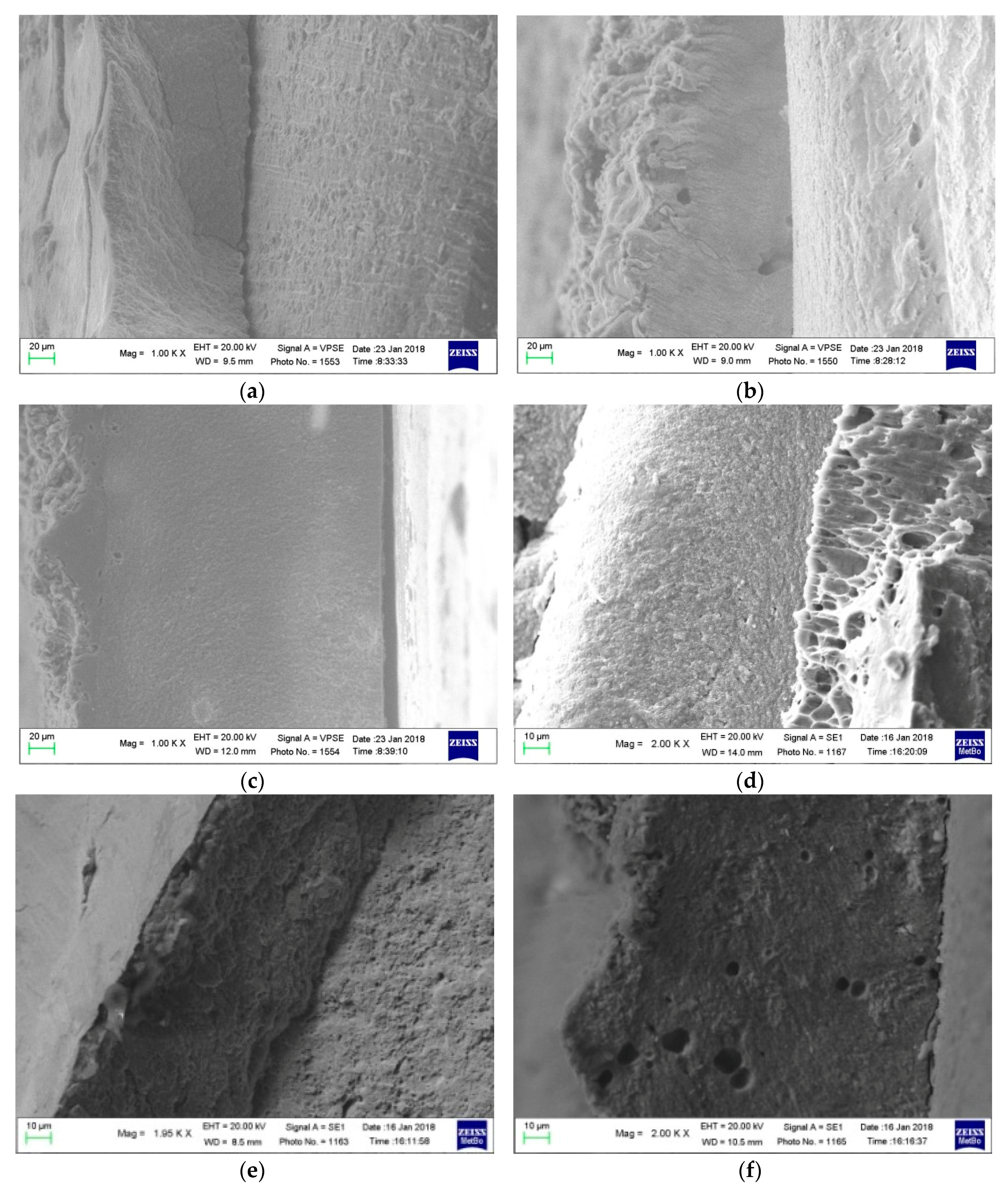 Coatings 08 00053 g003