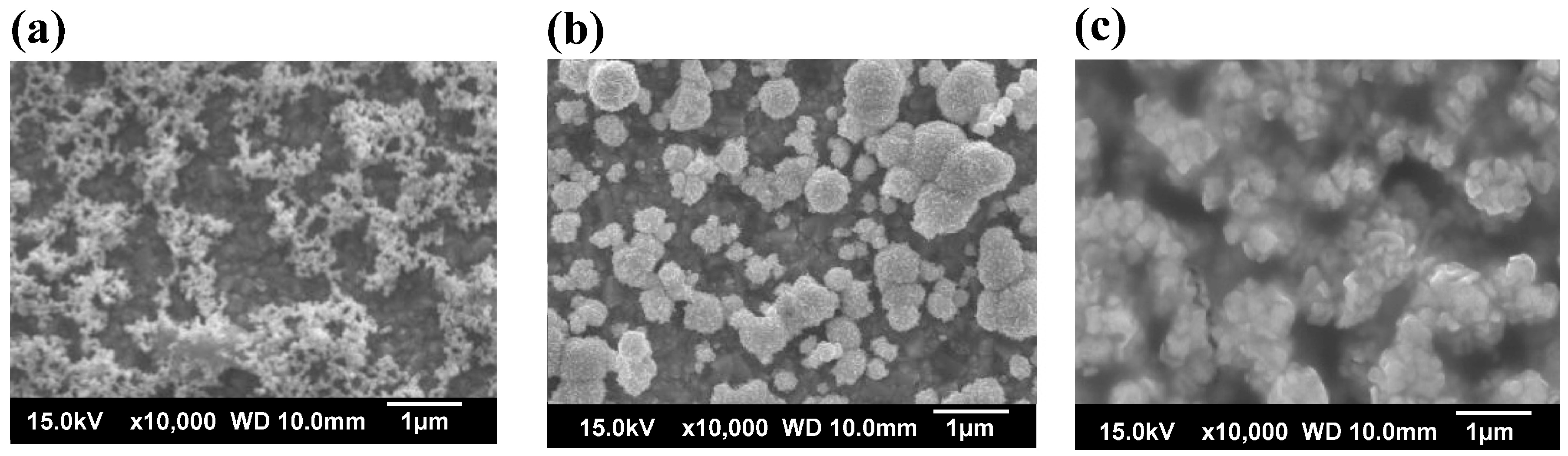 Coatings 08 00056 g002