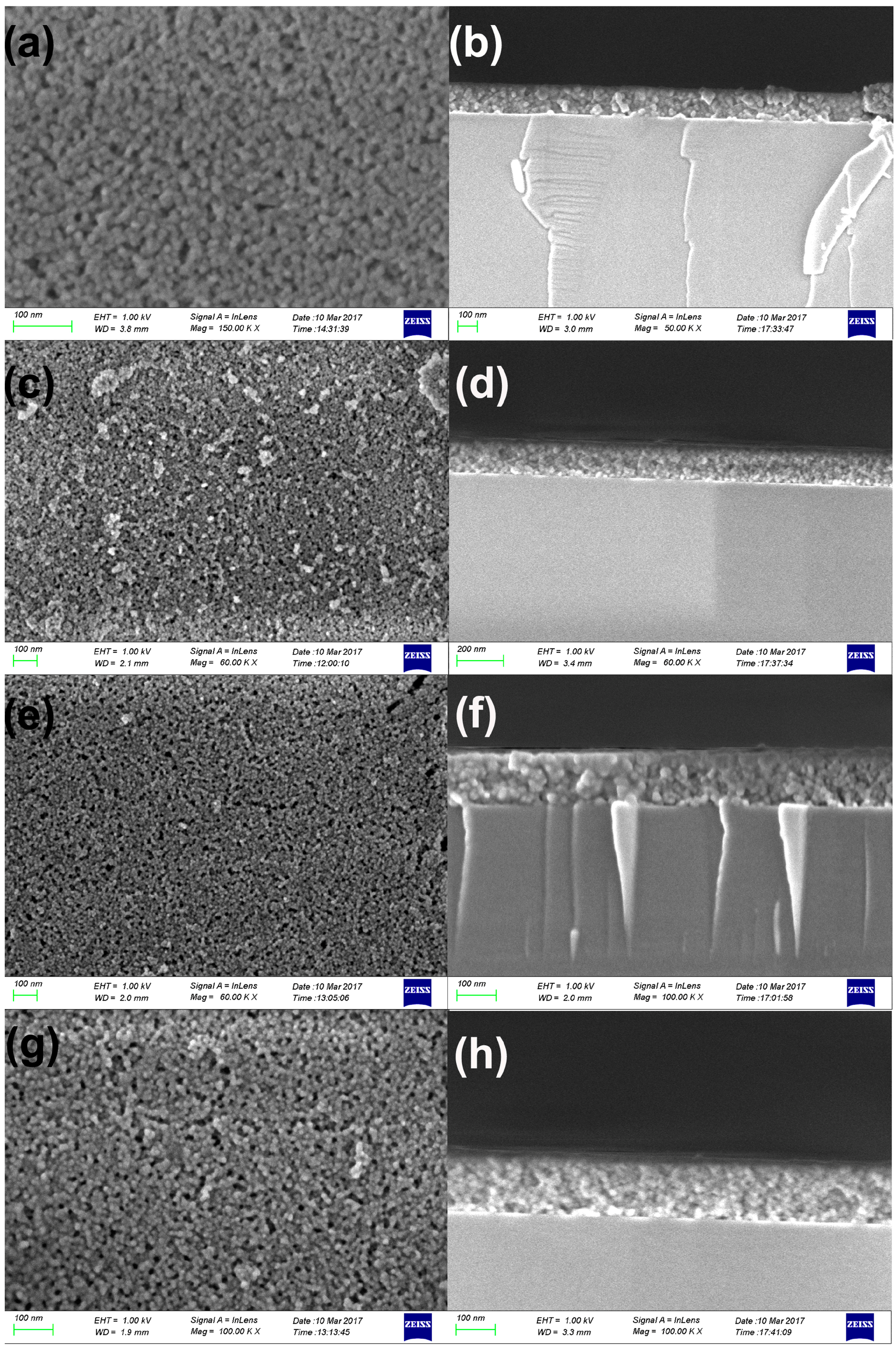 Coatings 08 00057 g004