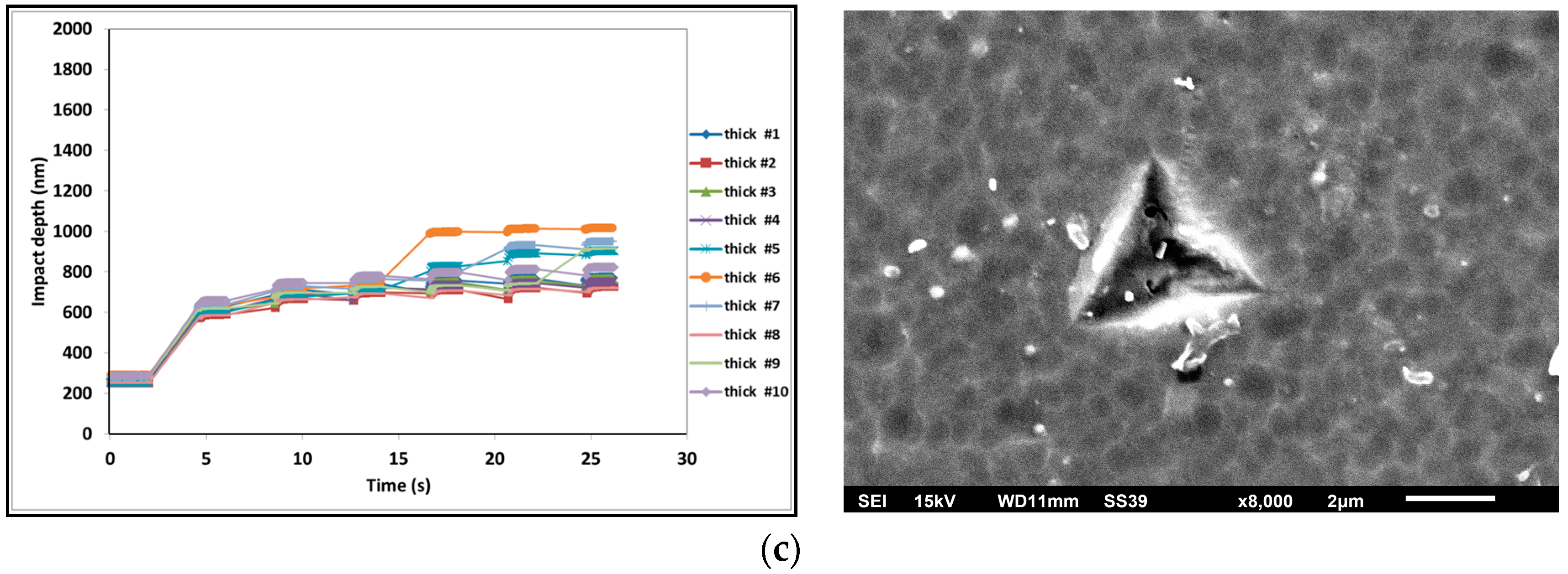 Coatings 08 00059 g003b