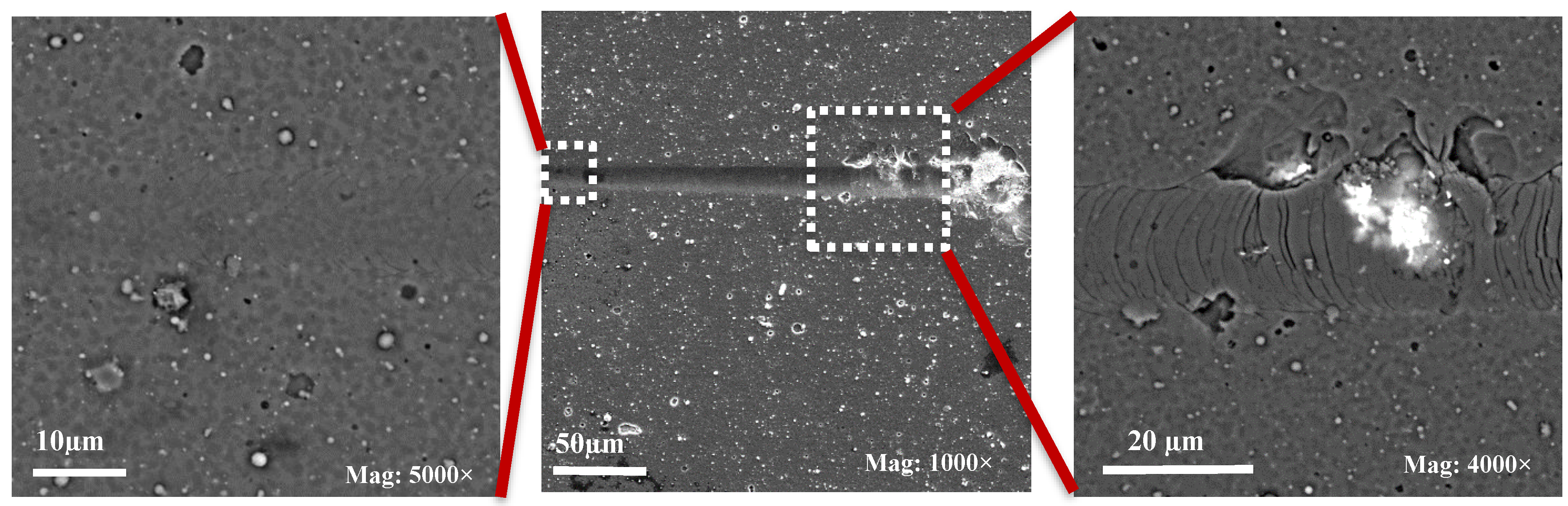 Coatings 08 00059 g006