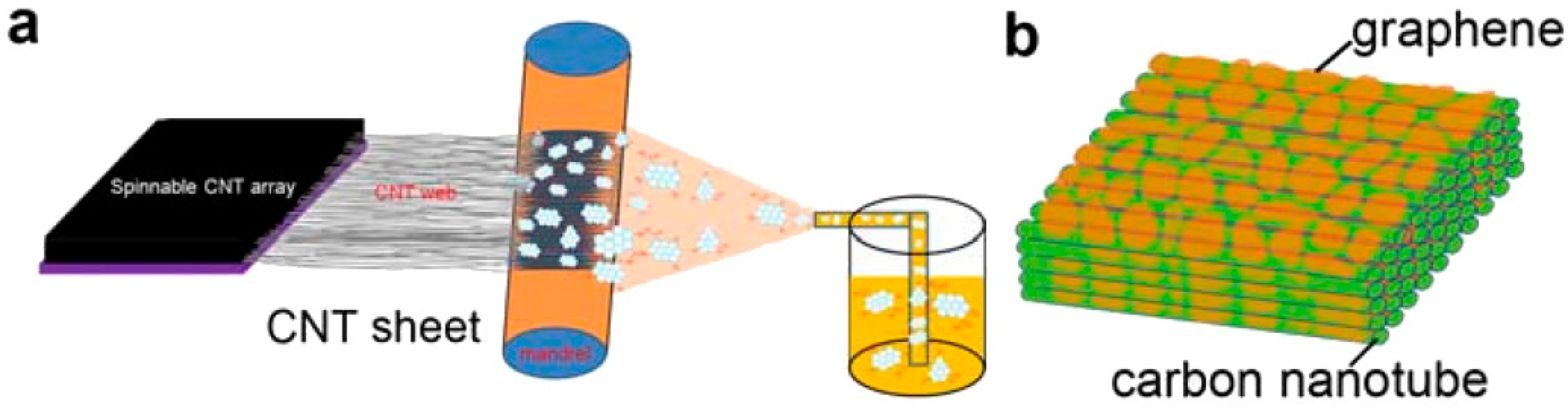 Coatings 08 00063 g003