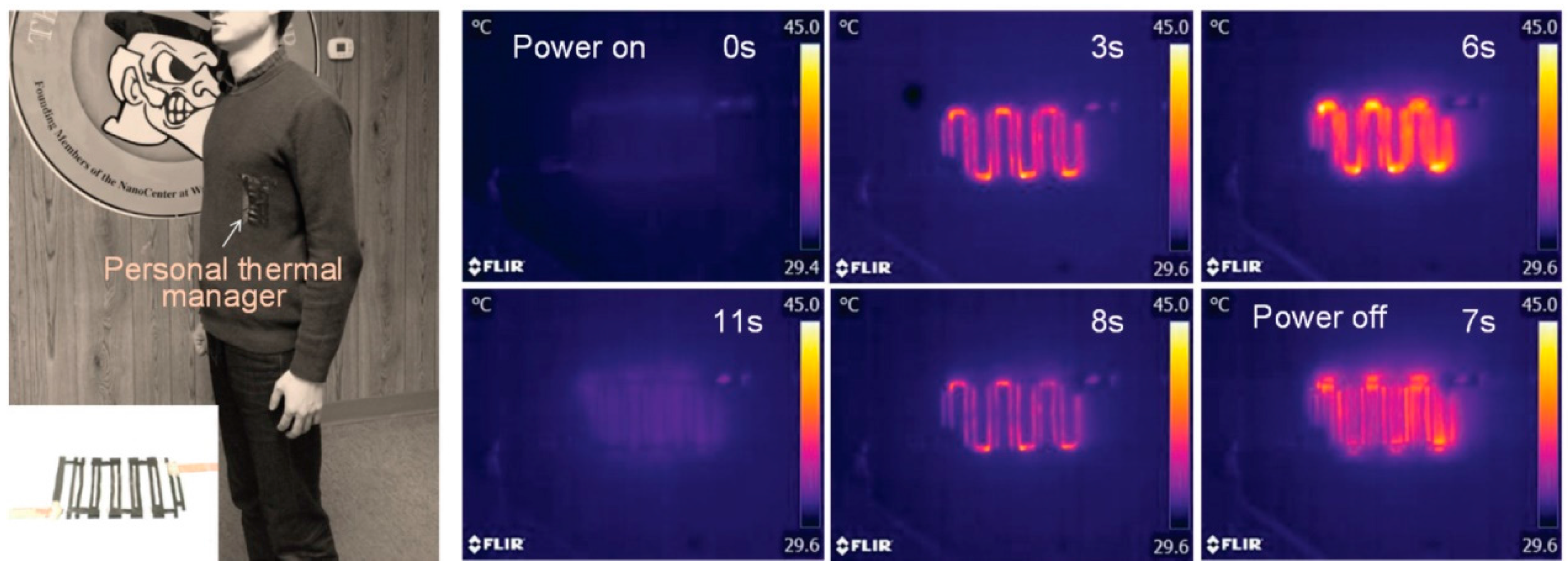 Coatings 08 00063 g010