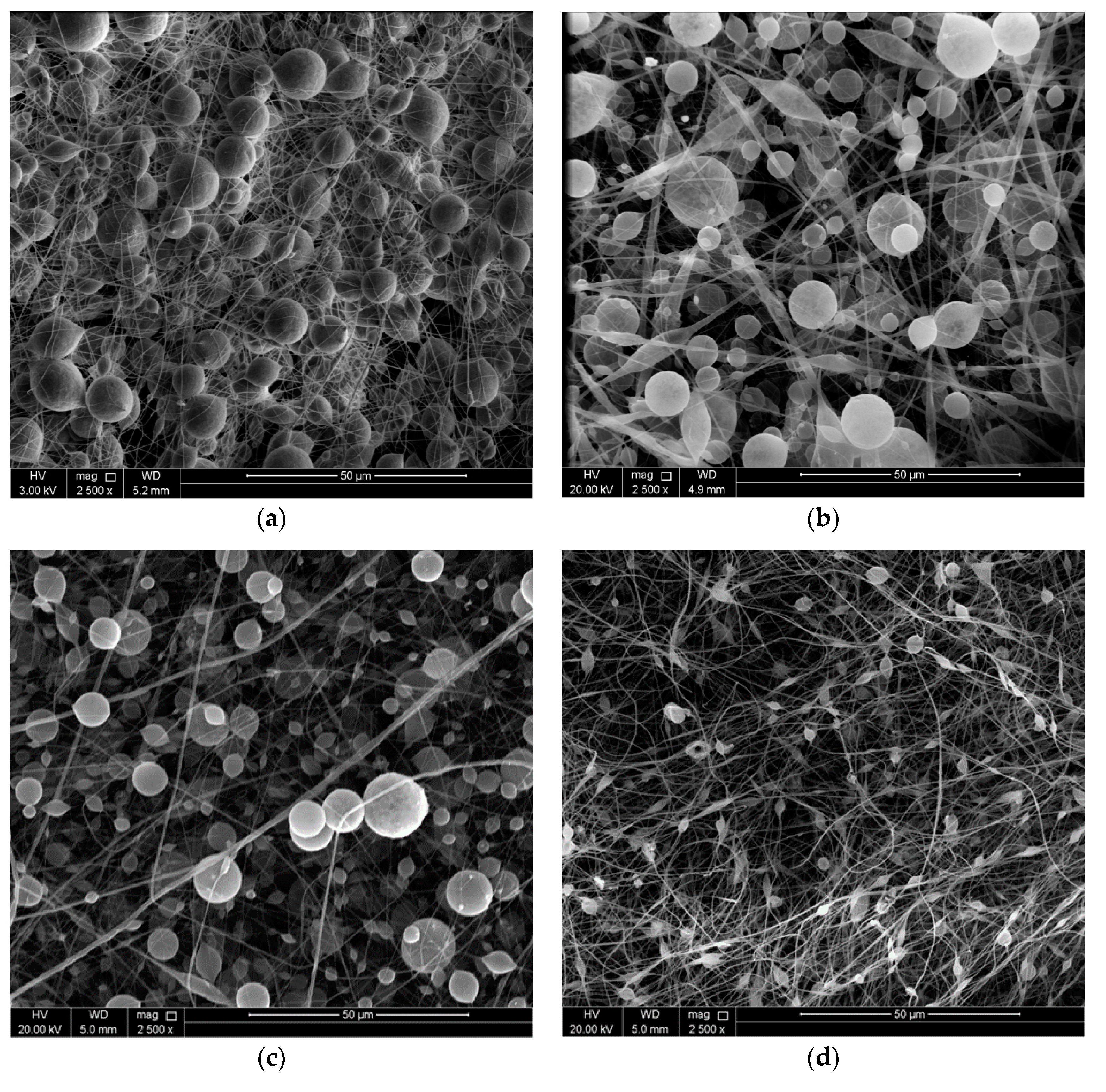 Coatings 08 00065 g001