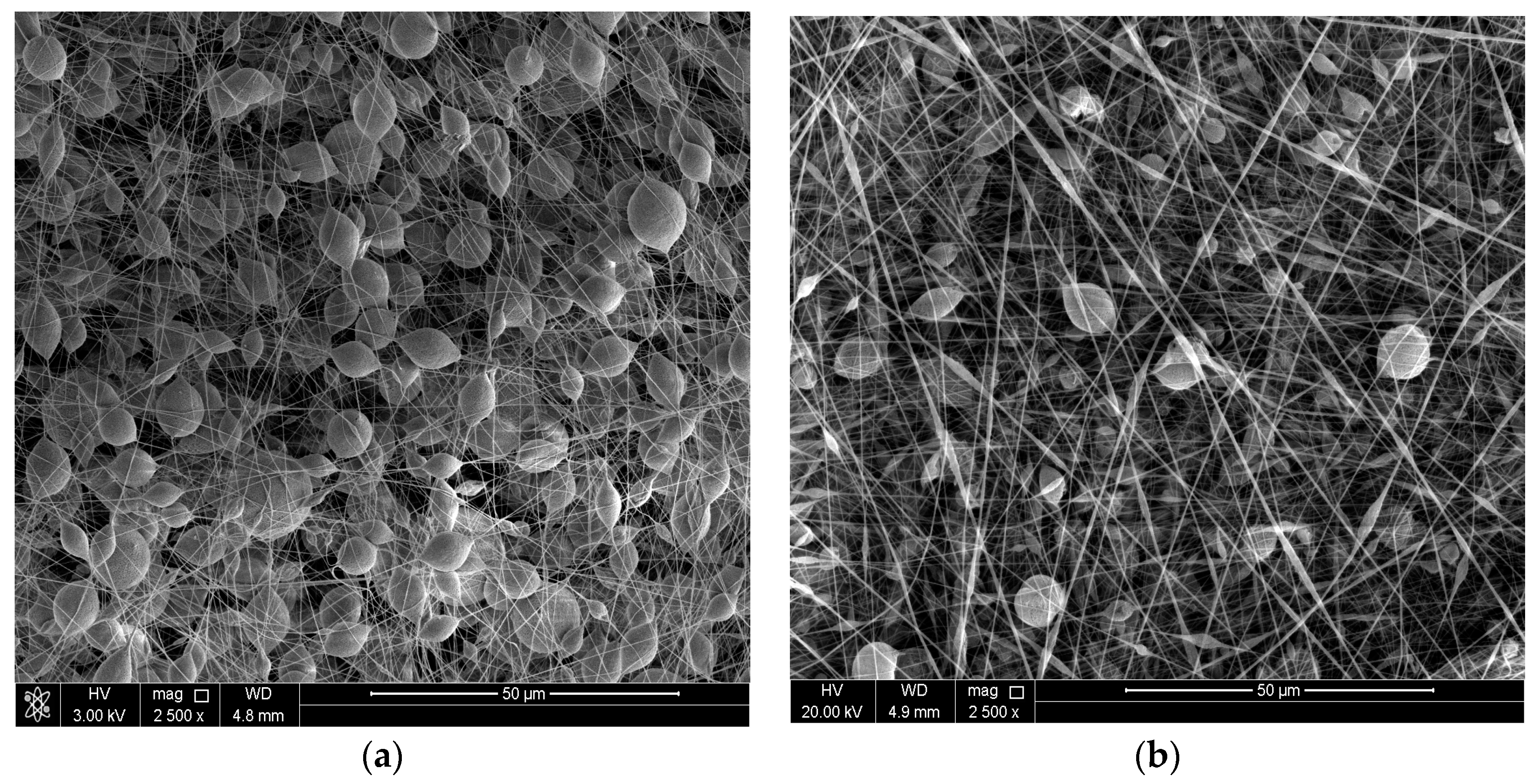 Coatings 08 00065 g002a