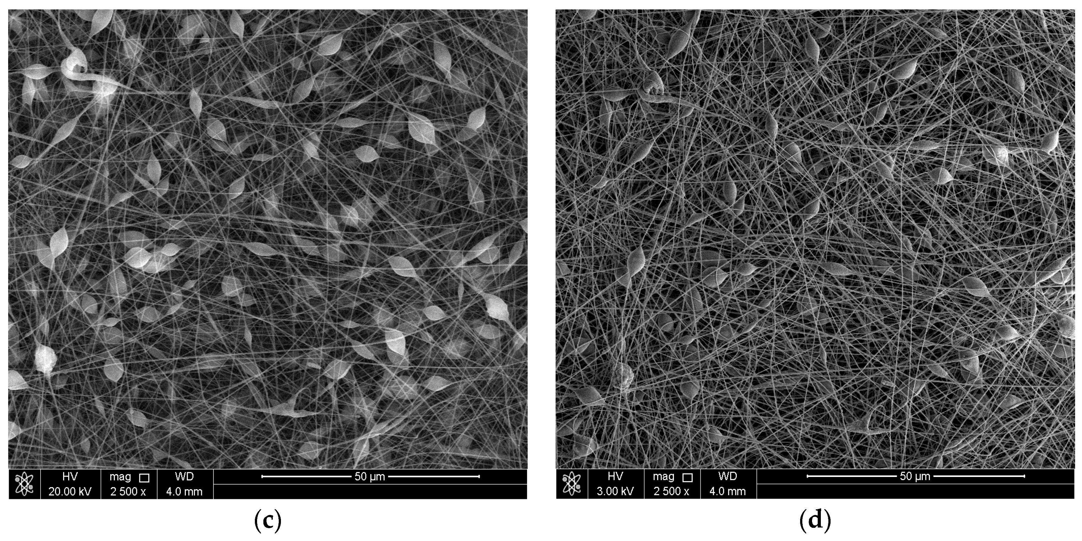 Coatings 08 00065 g002b