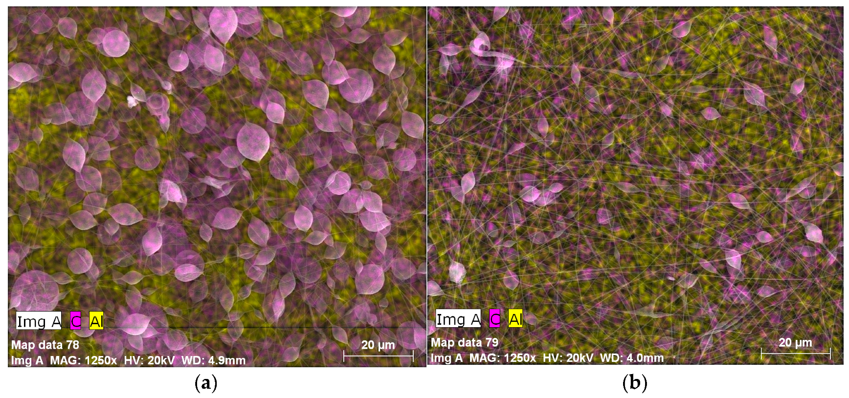 Coatings 08 00065 g003