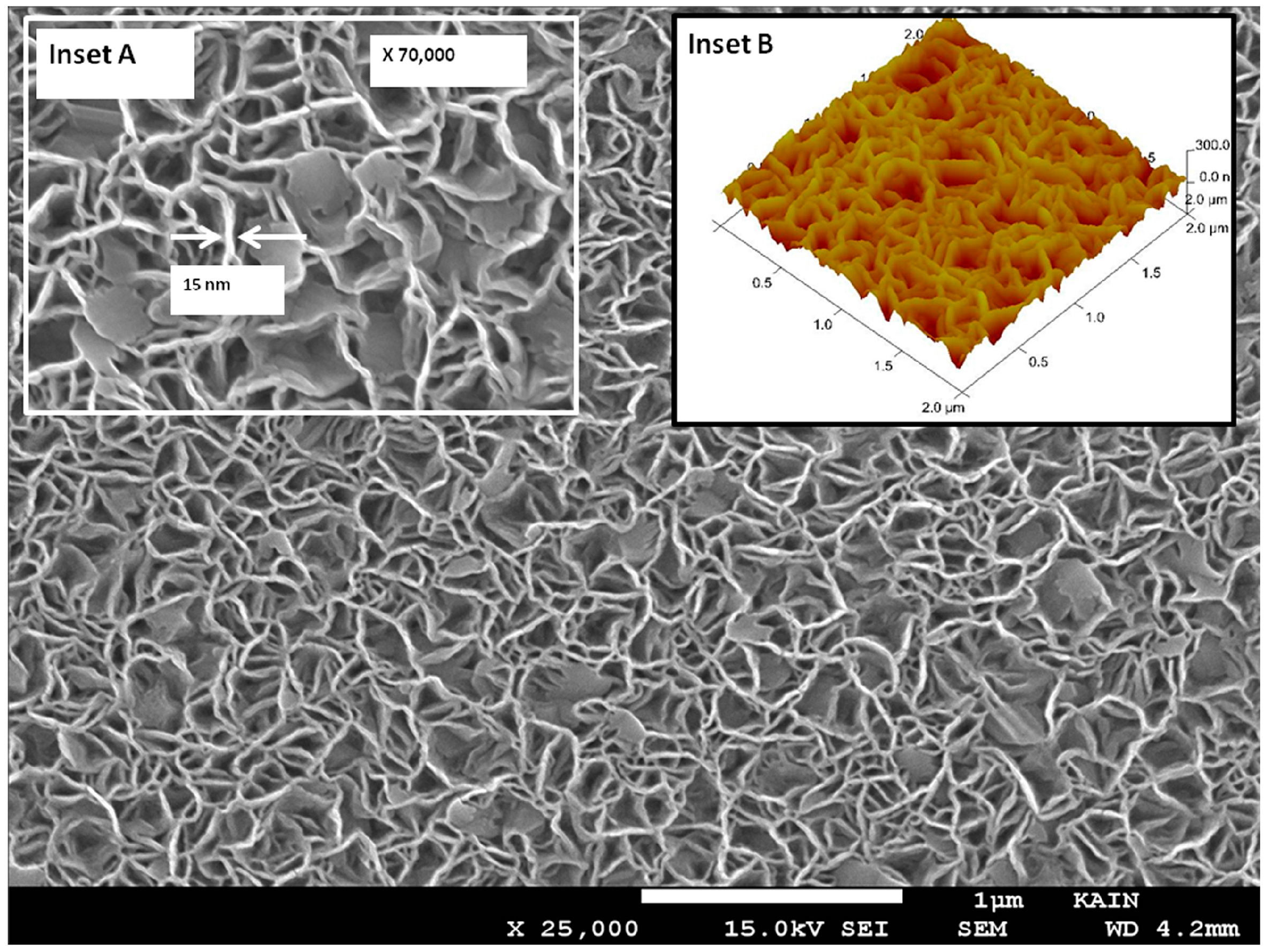 Coatings 08 00067 g004 Coatings 08 00067 g004