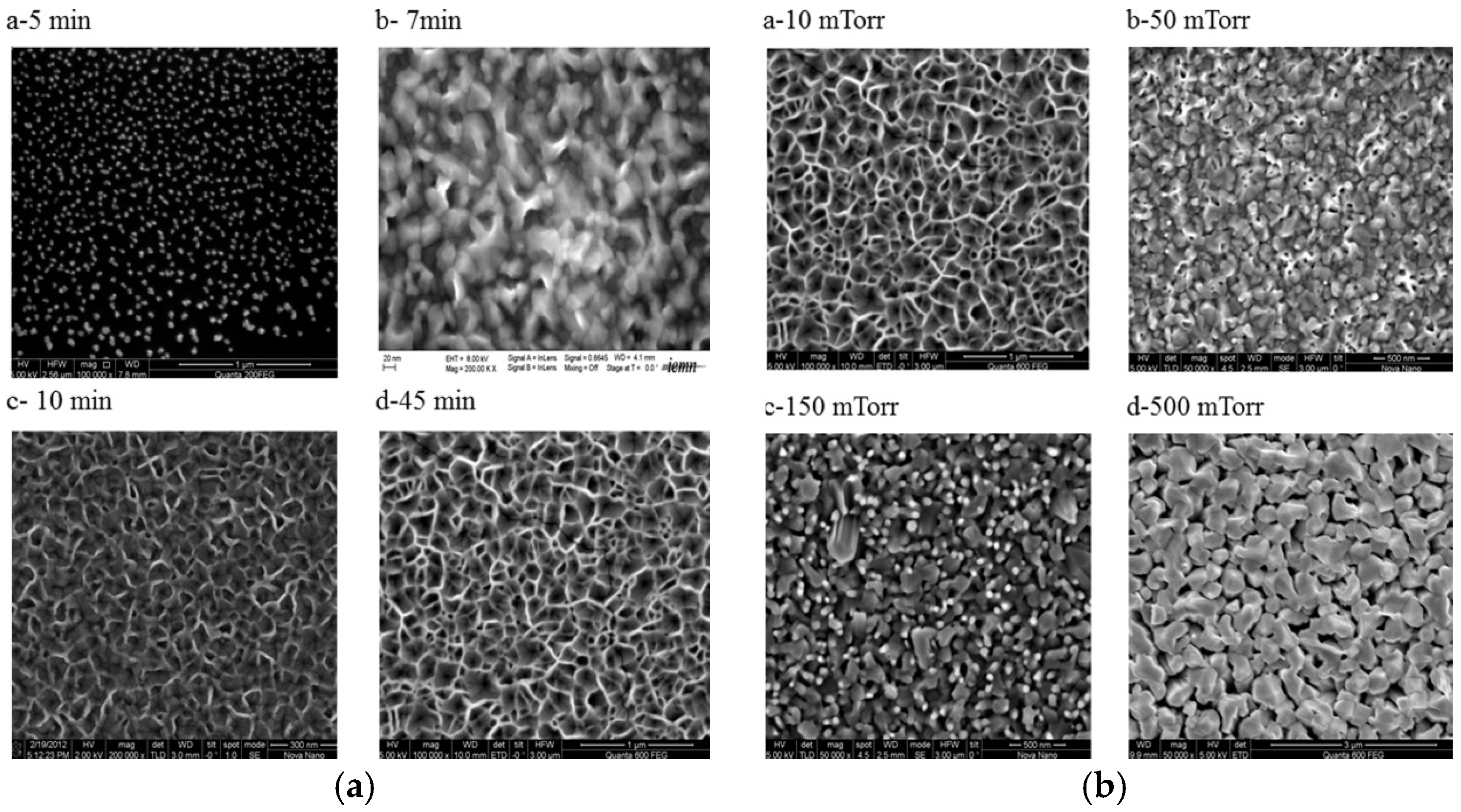 Coatings 08 00067 g005a Coatings 08 00067 g005a