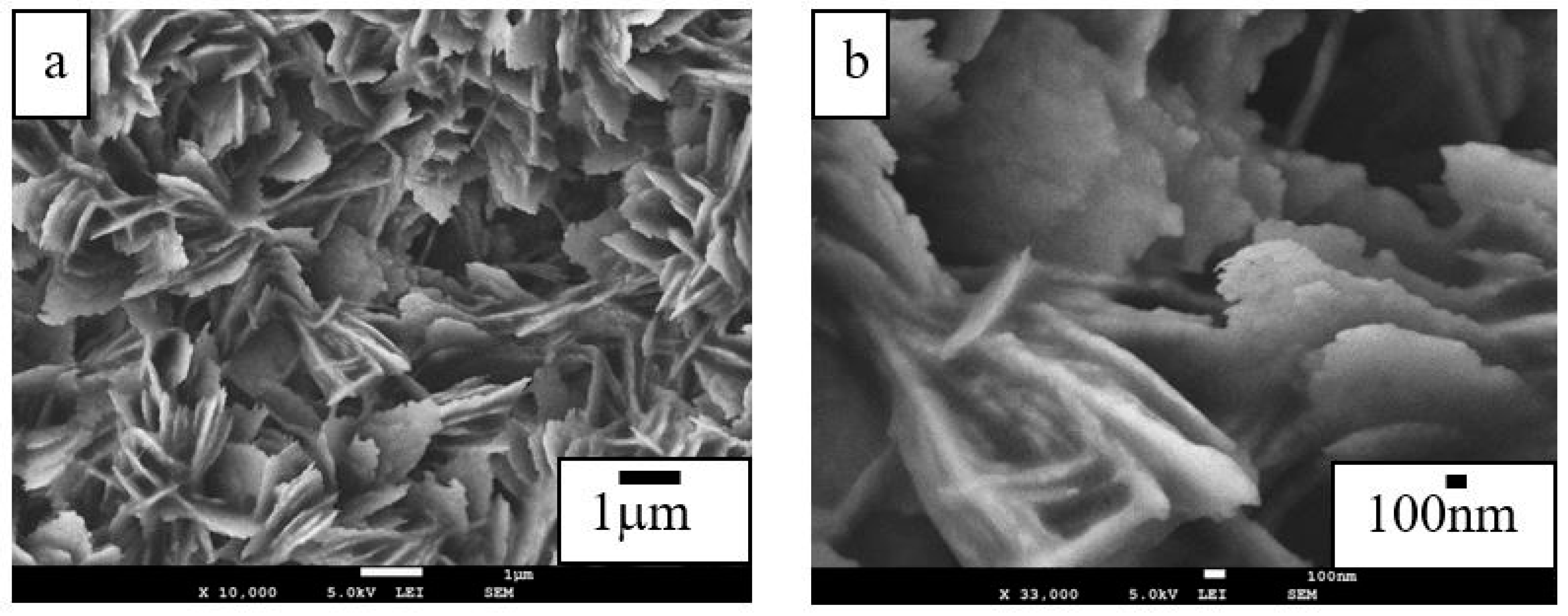 Coatings 08 00070 g001a