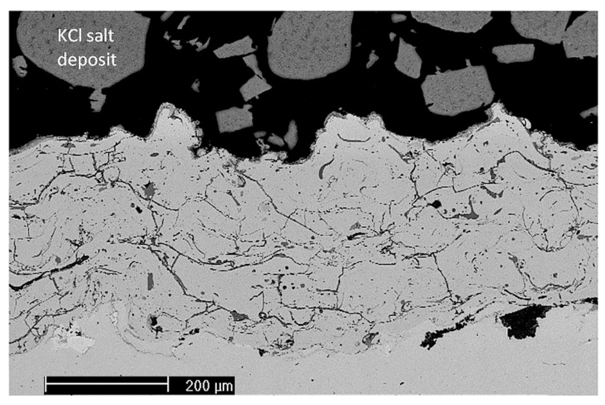 Coatings 08 00071 g008