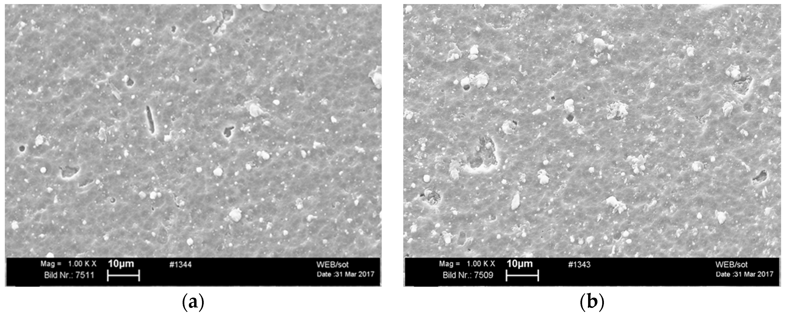 Coatings 08 00072 g002